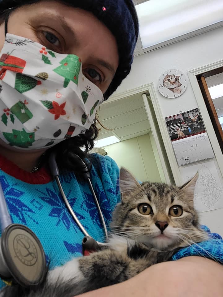 TLC Veterinary Clinic Olympia, WA