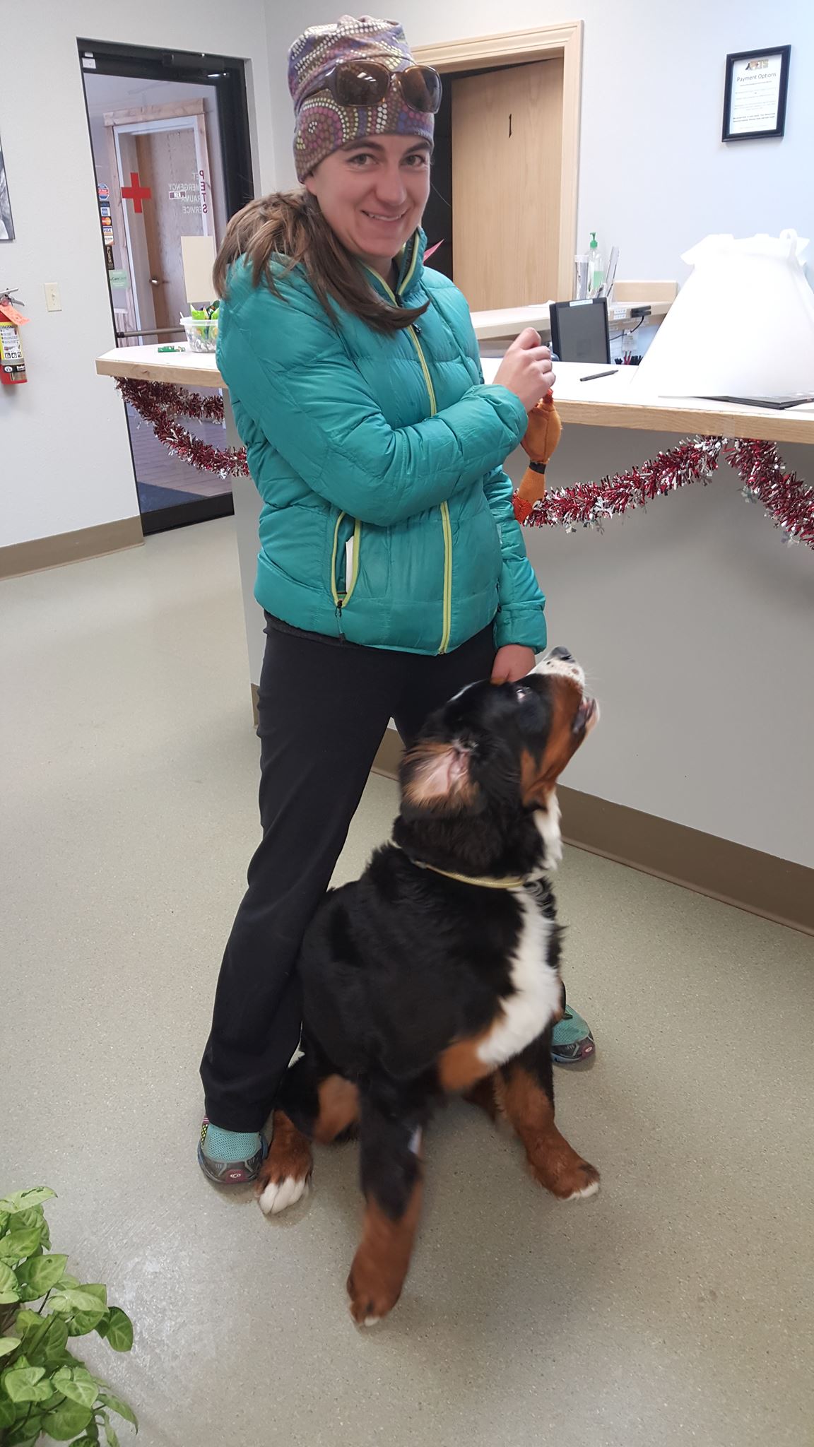 Find Pet Care Information and Veterinarians in Bisel, Montana Find Pet Care Information and Veterinarians in Bisel, Montana