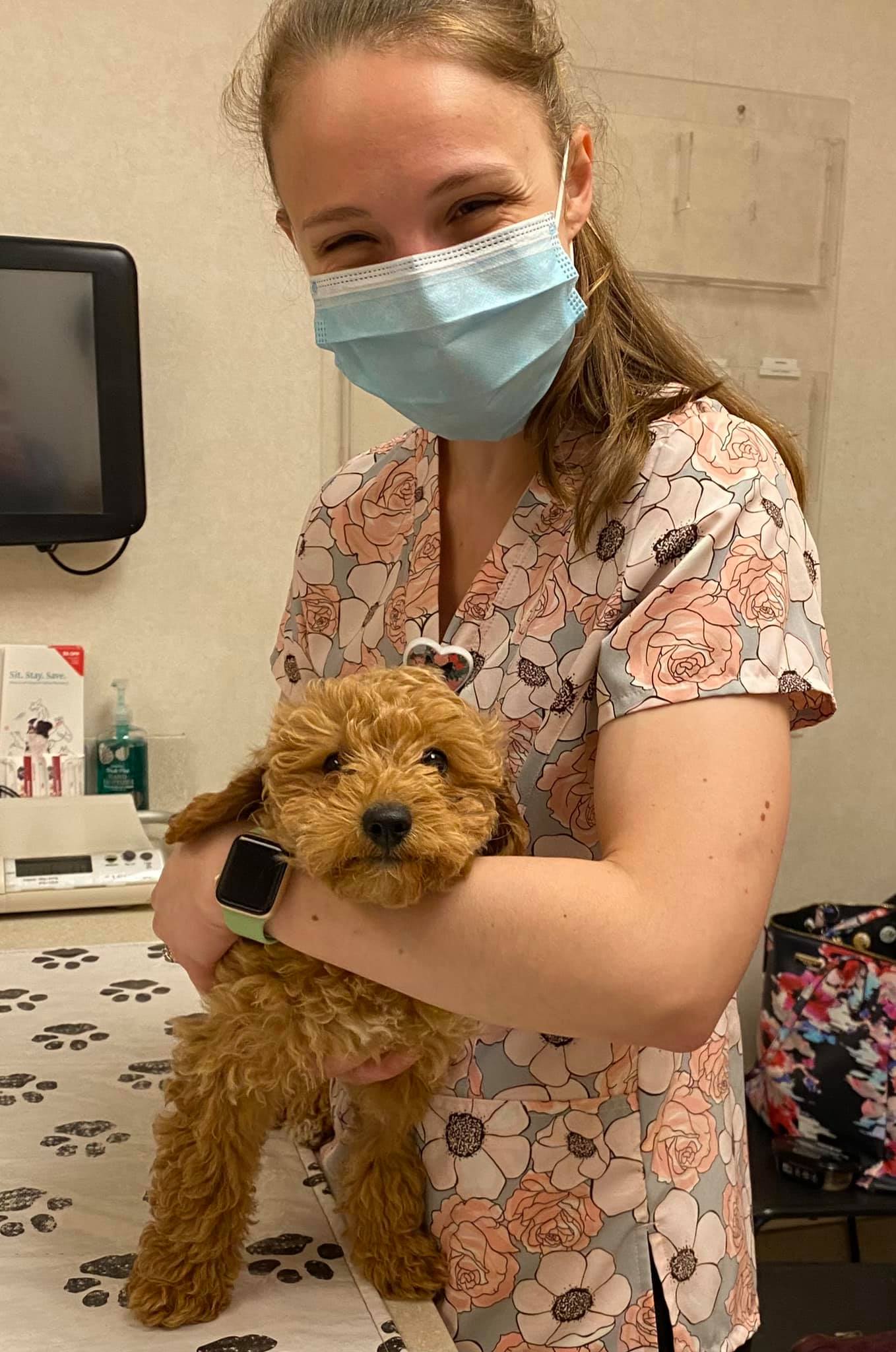 Oradell Animal Hospital – Paramus, NJ Oradell Animal Hospital – Paramus, NJ