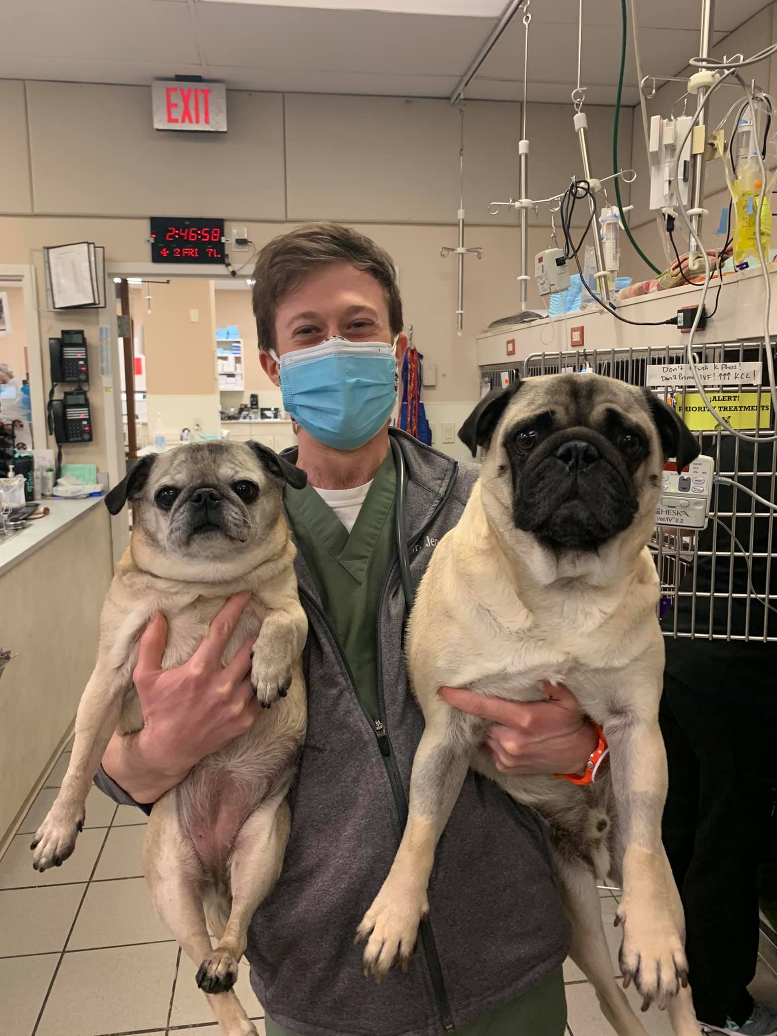Oradell Animal Hospital – Paramus, NJ Oradell Animal Hospital – Paramus, NJ