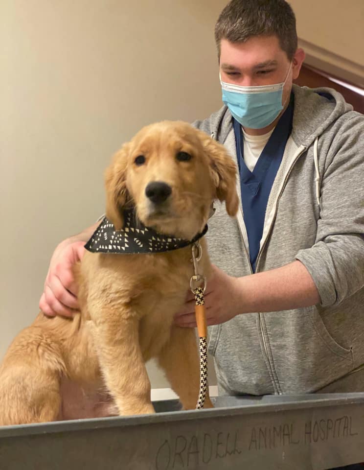 Oradell Animal Hospital – Paramus, NJ Oradell Animal Hospital – Paramus, NJ