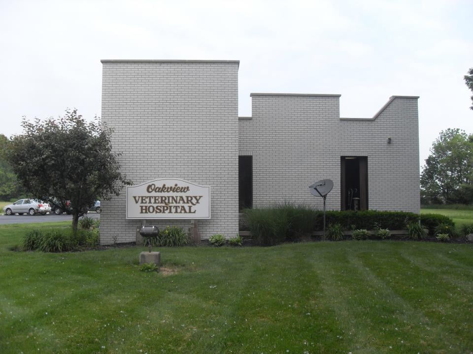 Oakview veterinary clinic hot sale