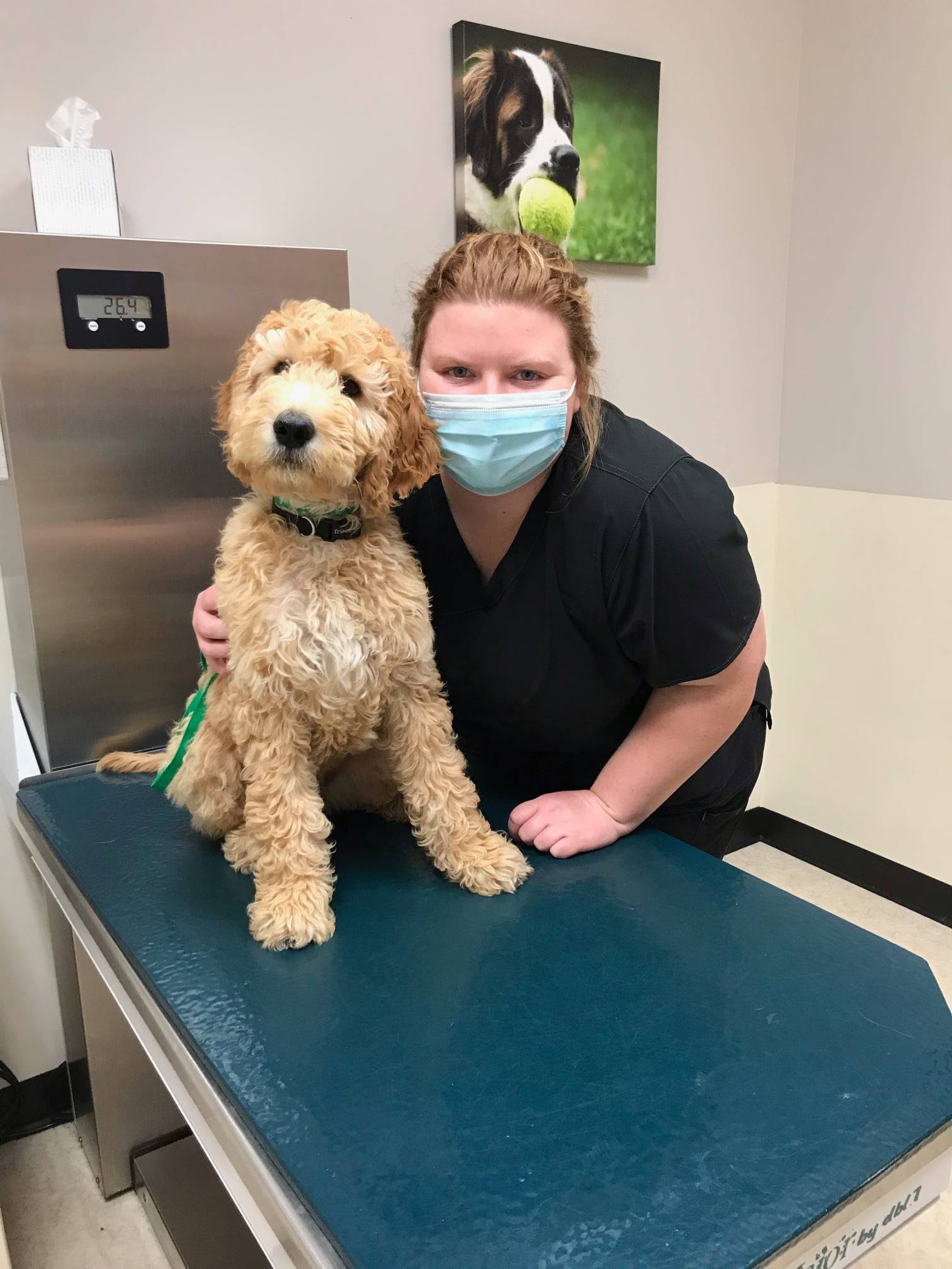 Risius Family Veterinary Service Maquoketa Maquoketa, IA