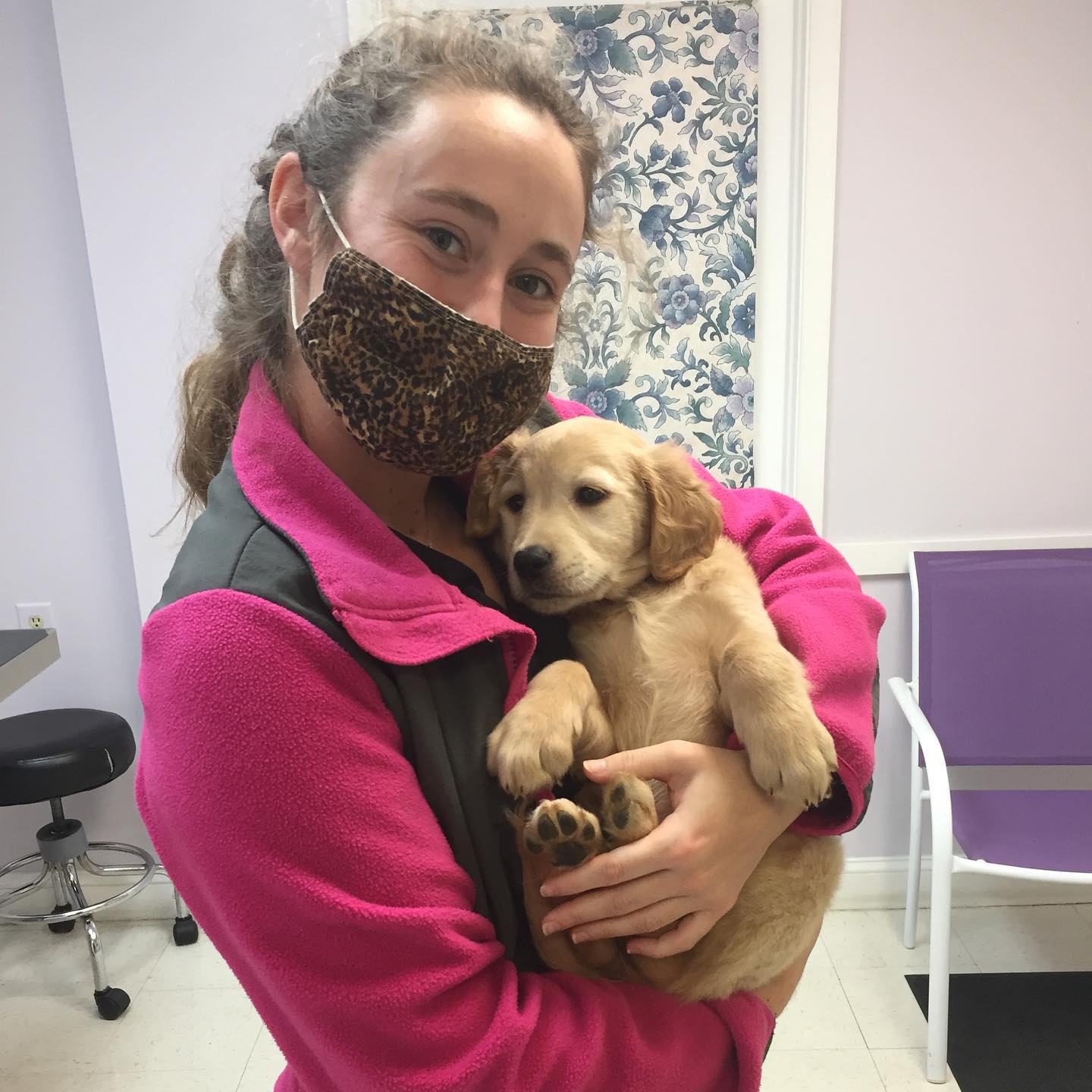 Ruckersville Animal Hospital Ruckersville, VA