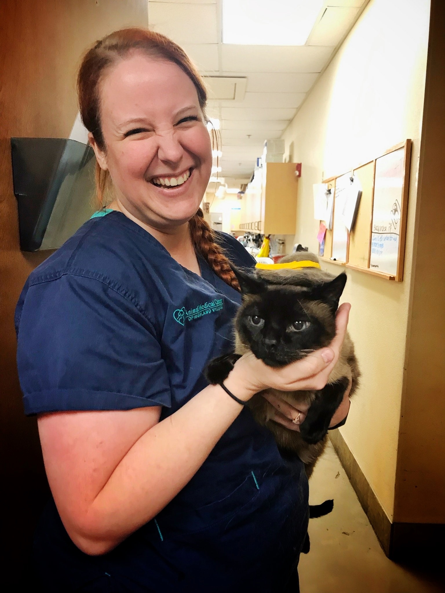 Animal Medical Center of Highland Village – Highland Village, TX Animal Medical Center of Highland Village – Highland Village, TX