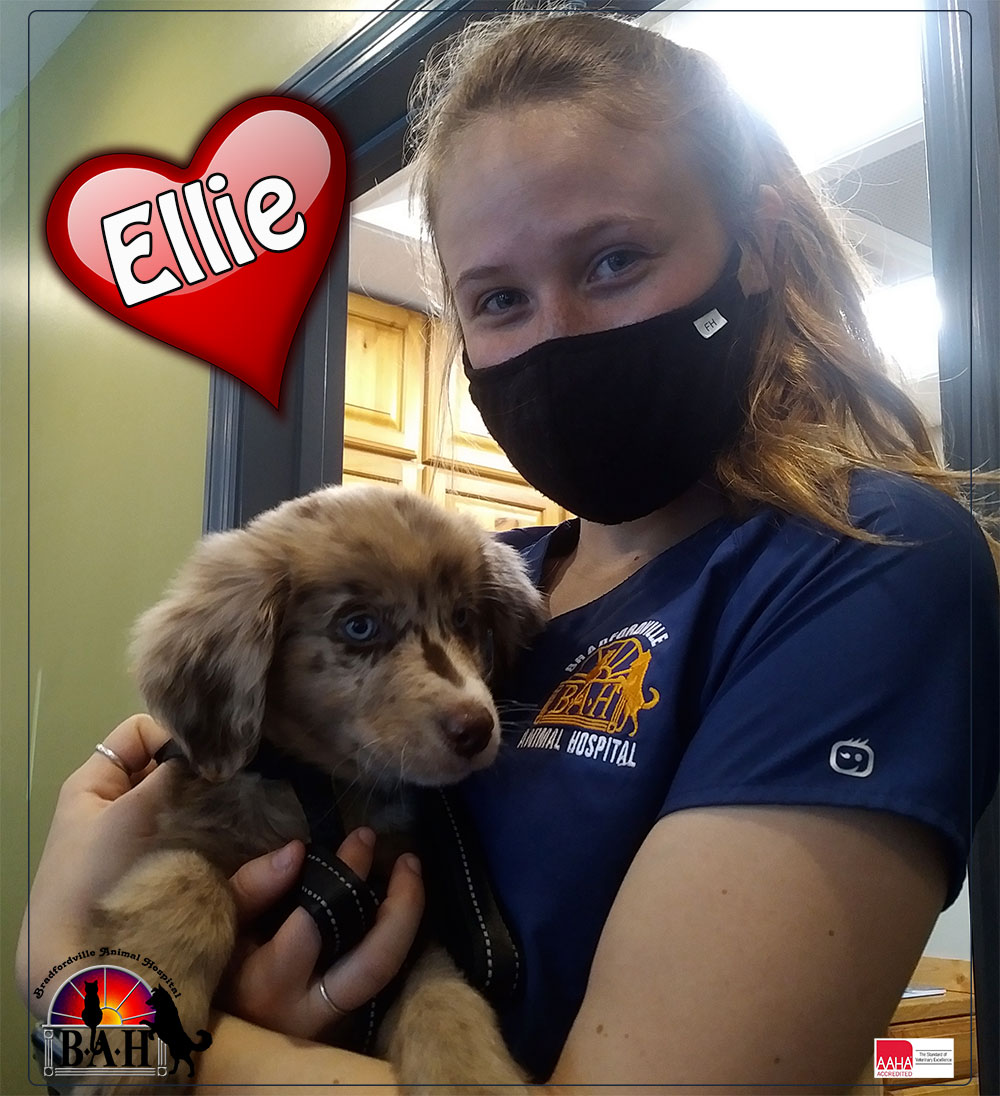 Find Pet Care Information and Veterinarians in Macon, Florida Find Pet Care Information and Veterinarians in Macon, Florida