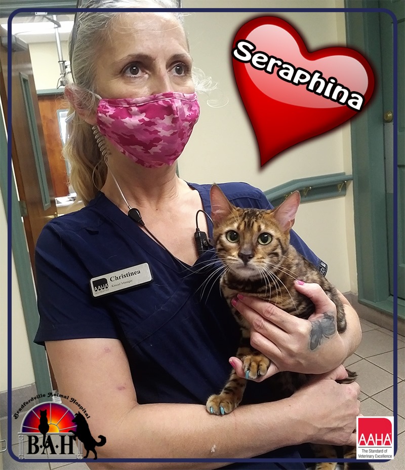 Find Pet Care Information and Veterinarians in Macon, Florida Find Pet Care Information and Veterinarians in Macon, Florida