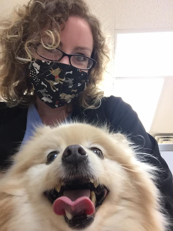 Animal Hospital Of Tiffin Tiffin Oh