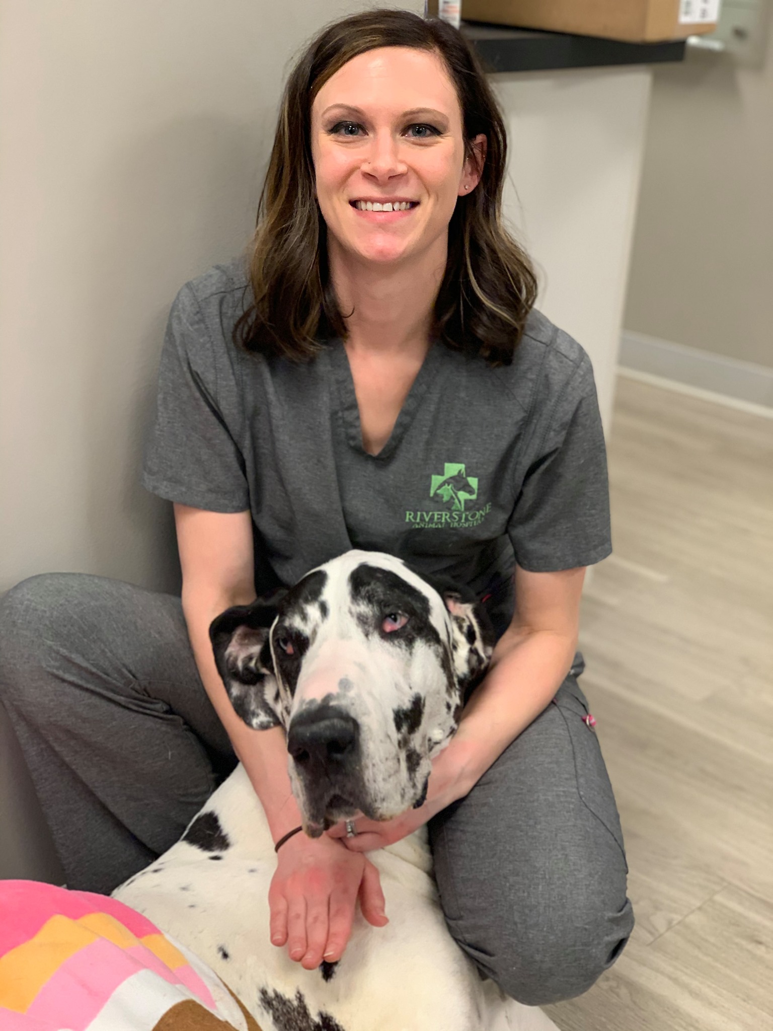 Riverstone Animal Hospital – Waterloo, IL Riverstone Animal Hospital – Waterloo, IL