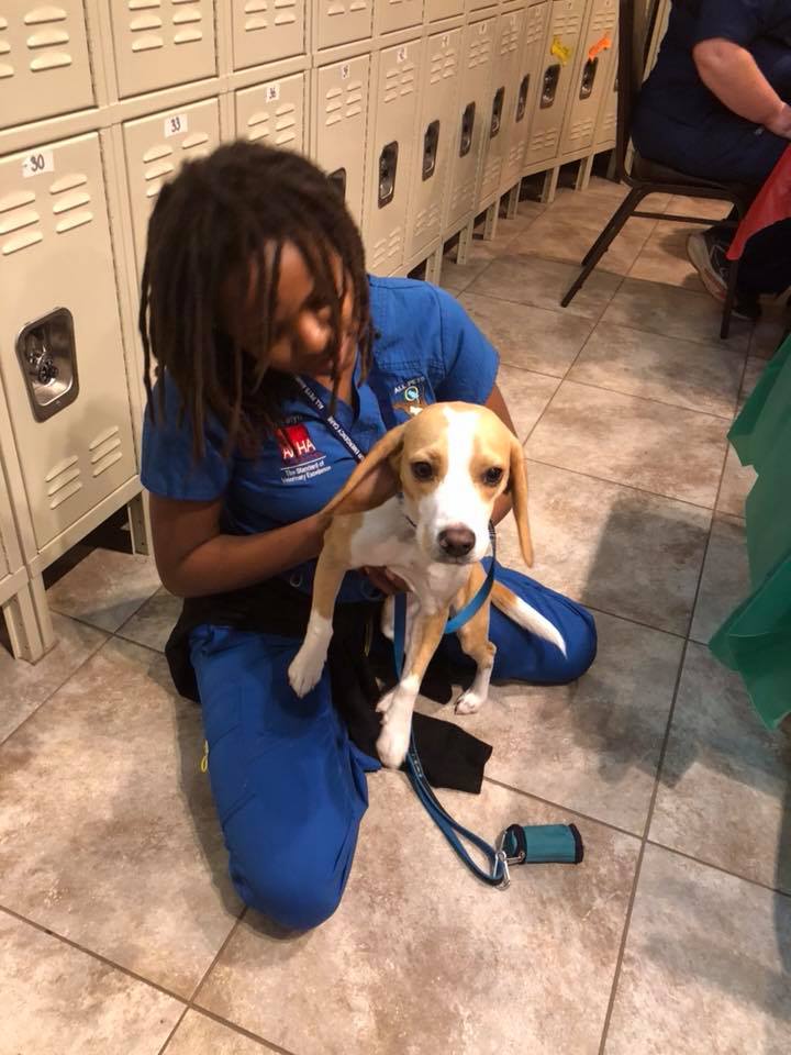 Find Pet Care Information and Veterinarians in Fulshear, Texas Find Pet Care Information and Veterinarians in Fulshear, Texas