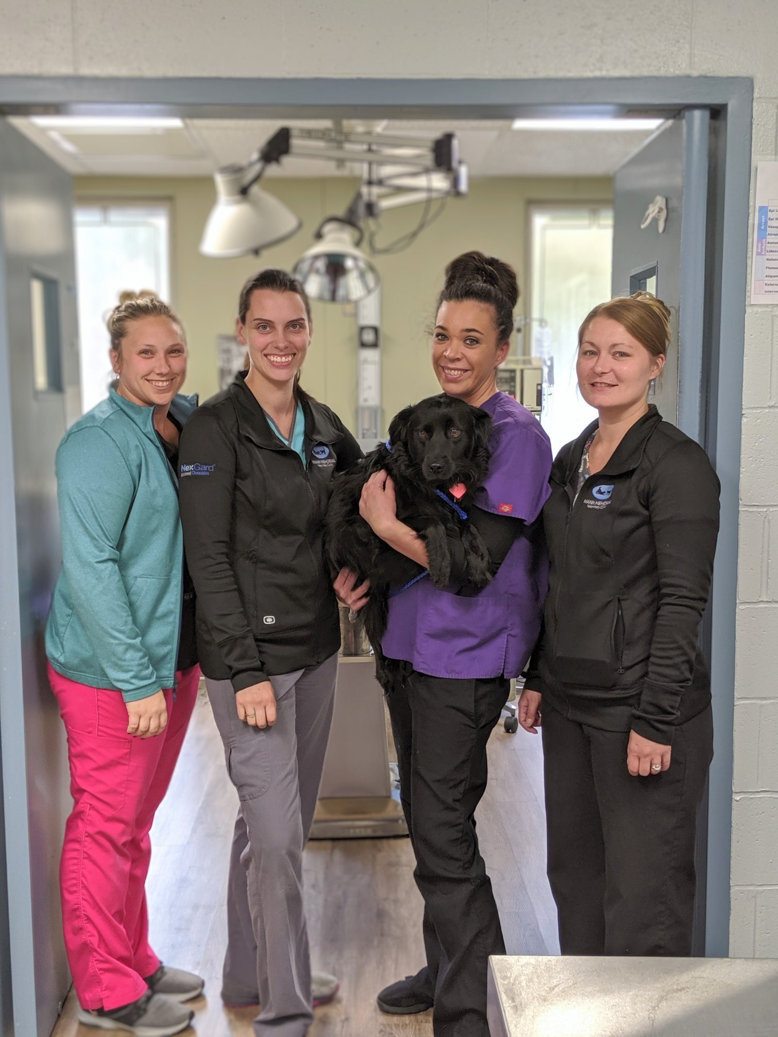 Dr Mann Vet Huntsville Al - i3vwytn
