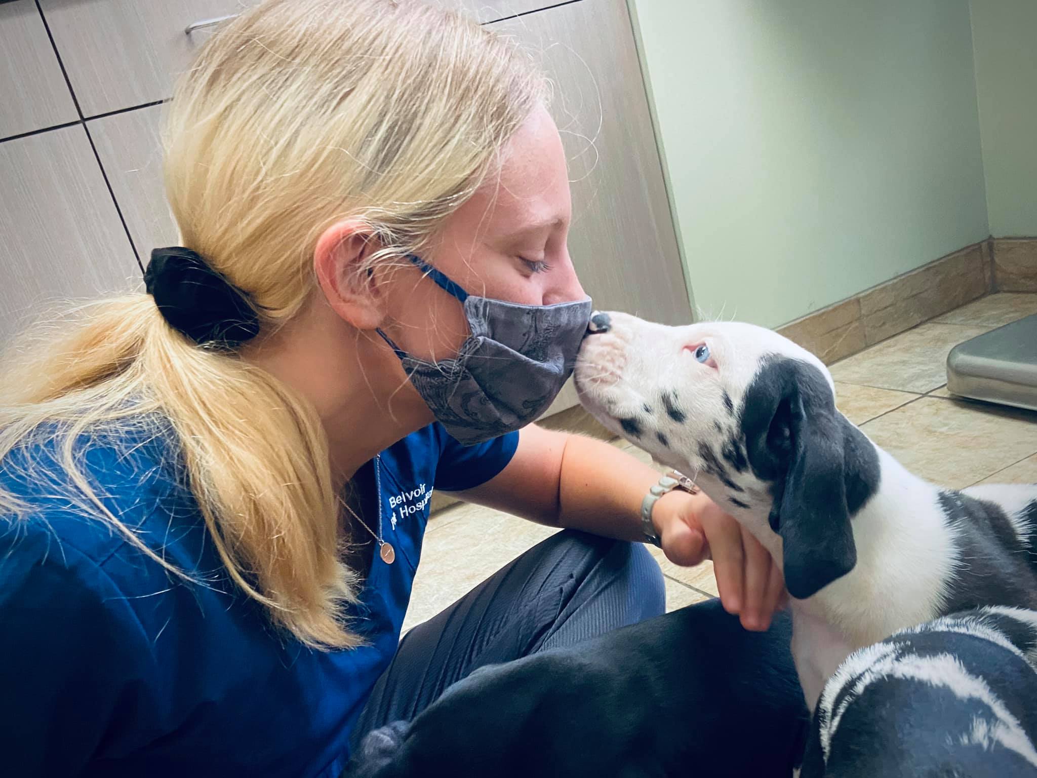 Find Pet Care Information and Veterinarians in Lyndhurst, Ohio Find Pet Care Information and Veterinarians in Lyndhurst, Ohio