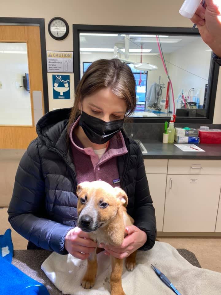 Find Pet Care Information and Veterinarians in Huntley, Montana Find Pet Care Information and Veterinarians in Huntley, Montana