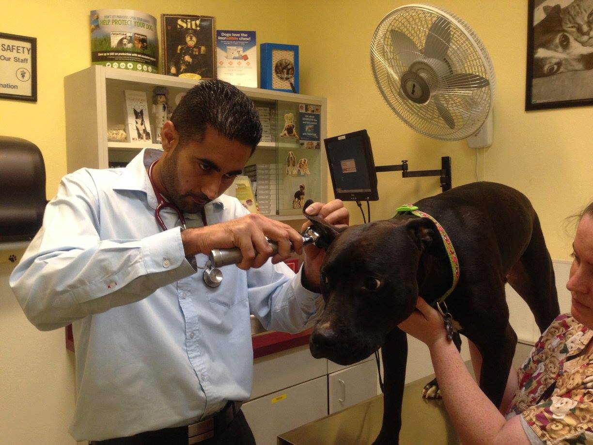 At the Oaks Pet Hospital Bakersfield, CA