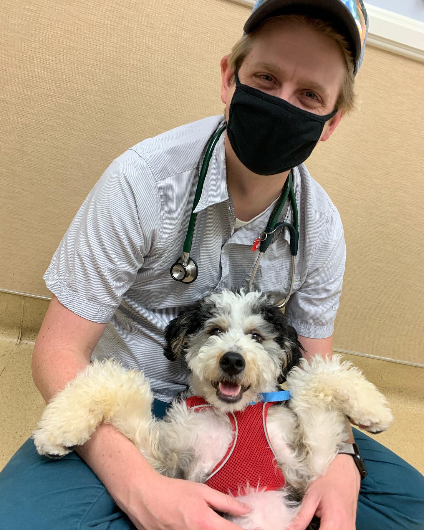 Find Pet Care Information and Veterinarians in Oceanside, California Find Pet Care Information and Veterinarians in Oceanside, California