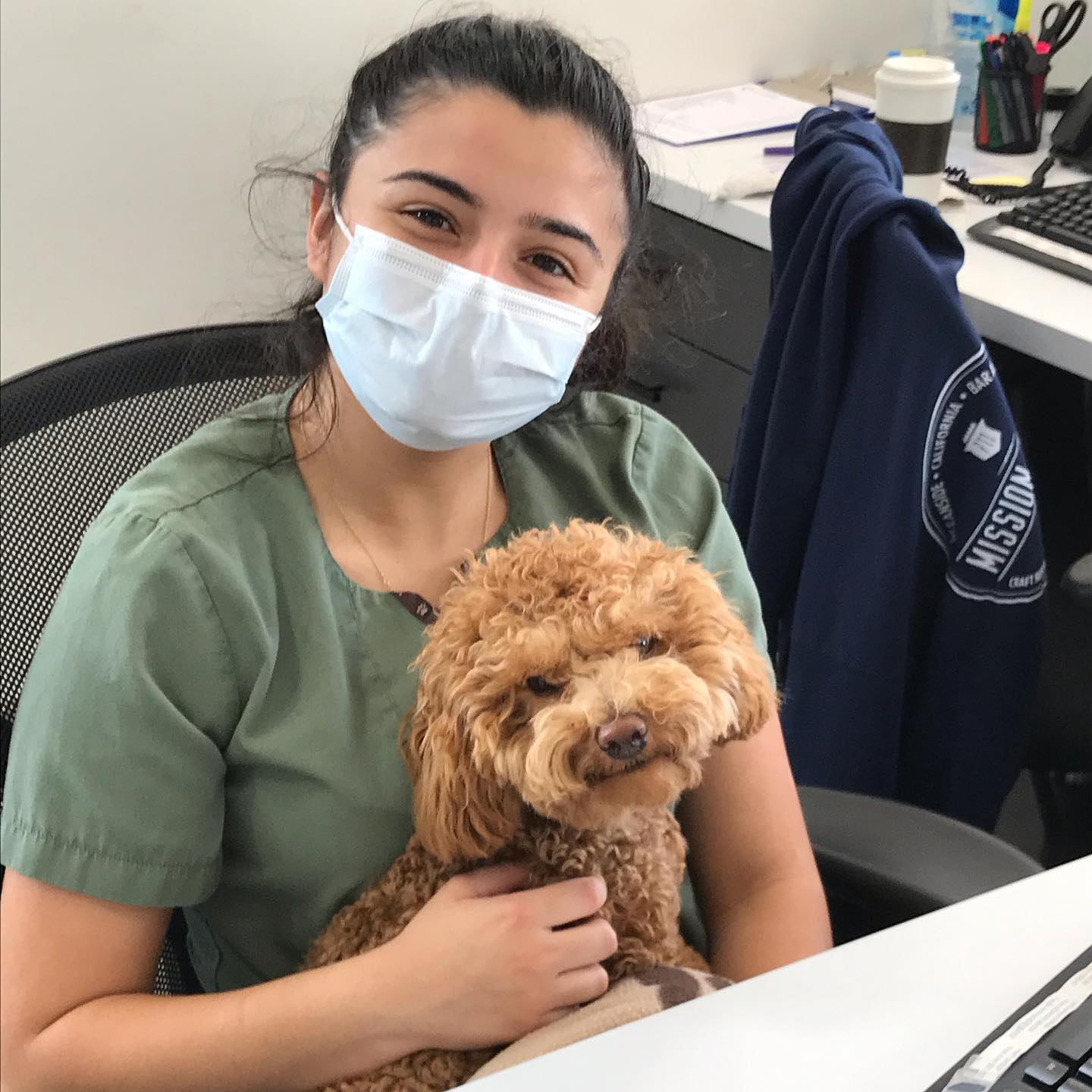 Find Pet Care Information and Veterinarians in Oceanside, California Find Pet Care Information and Veterinarians in Oceanside, California
