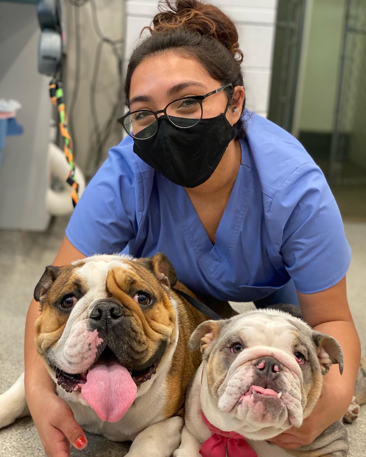 Cardiff Animal Hospital and Wellness Center – Cardiff, CA Cardiff Animal Hospital and Wellness Center – Cardiff, CA