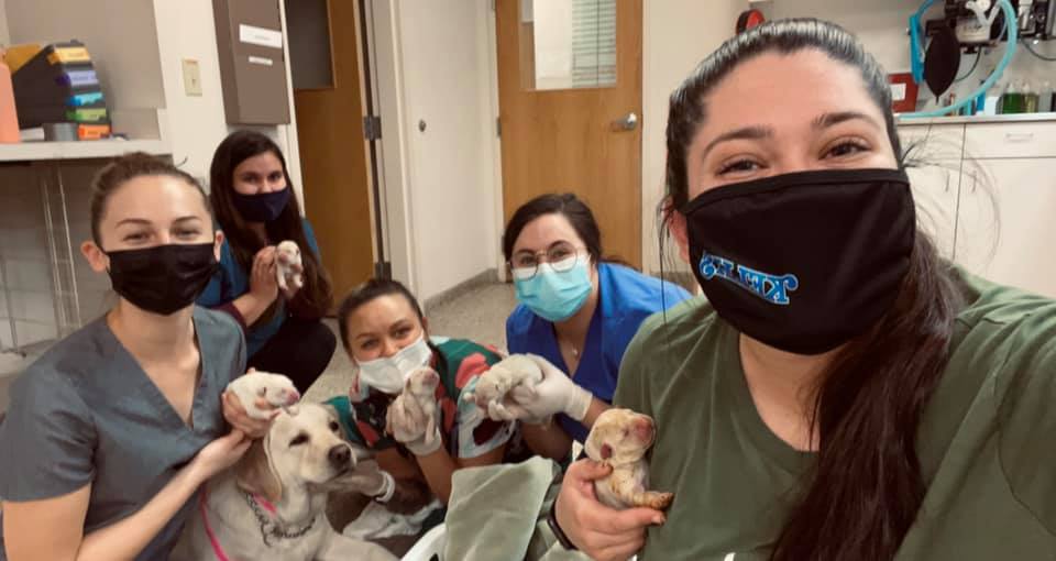 Crater Animal Clinic – Central Point, OR Crater Animal Clinic – Central Point, OR