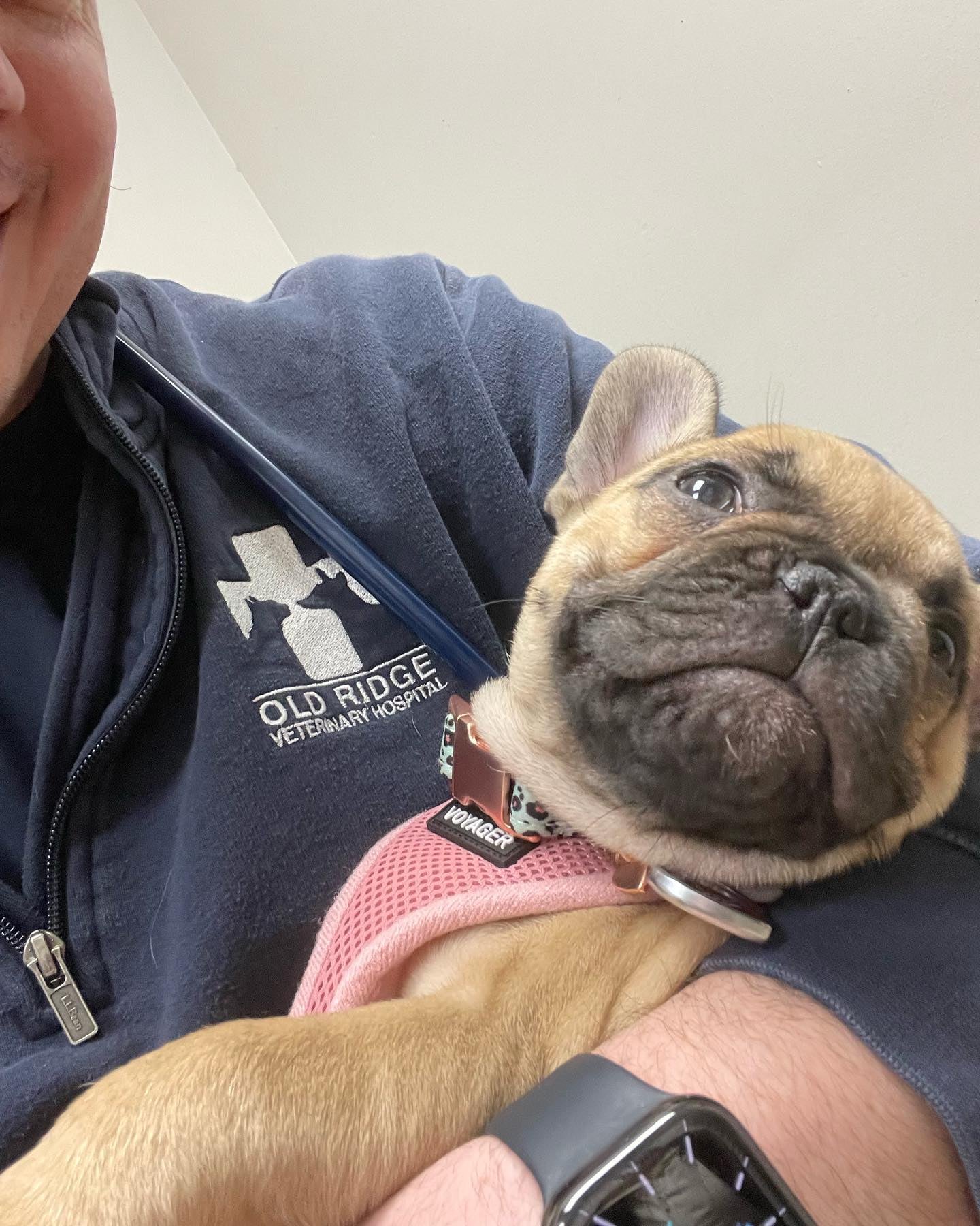 Old Ridge Veterinary Hospital Chadds Ford, PA