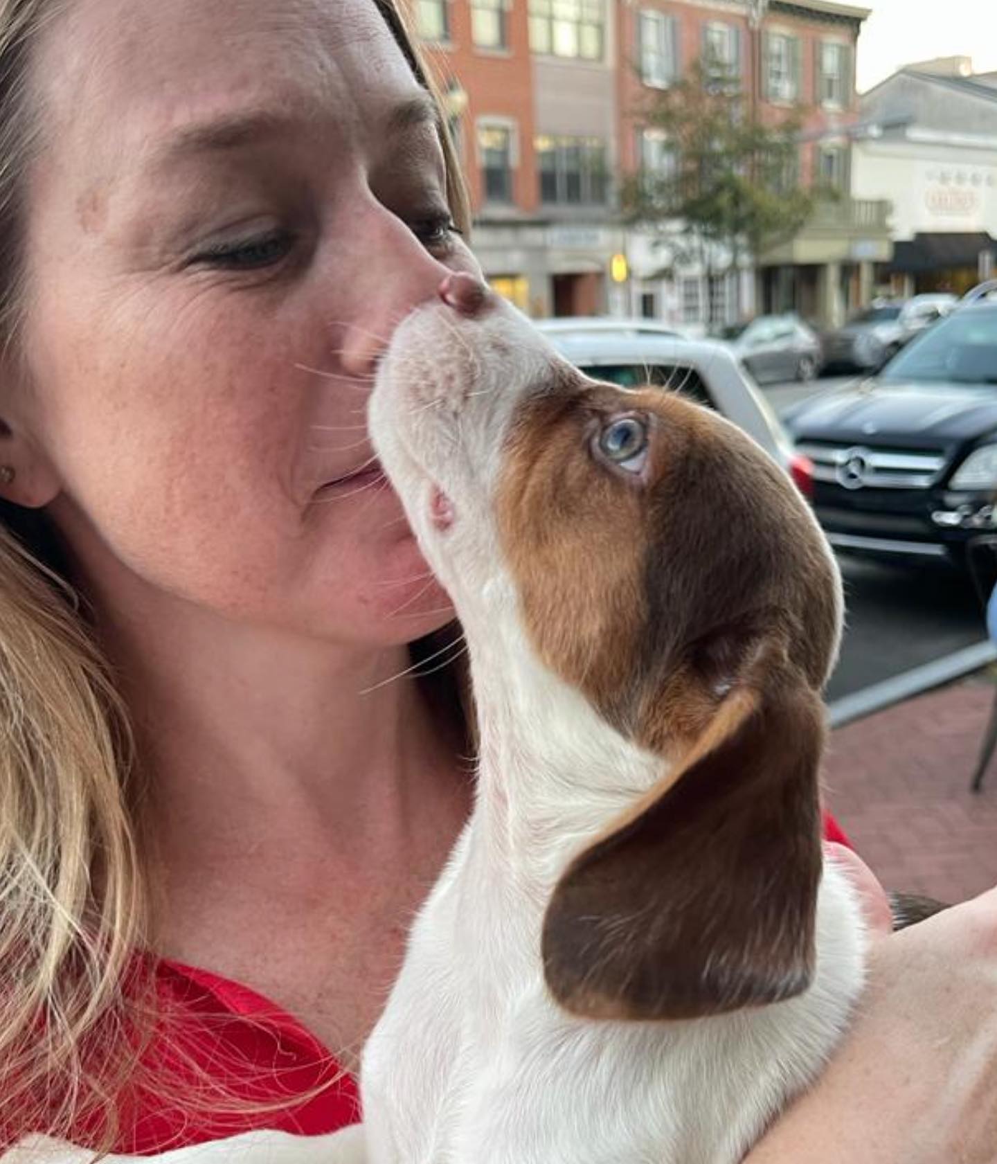 Old Ridge Veterinary Hospital Chadds Ford, PA