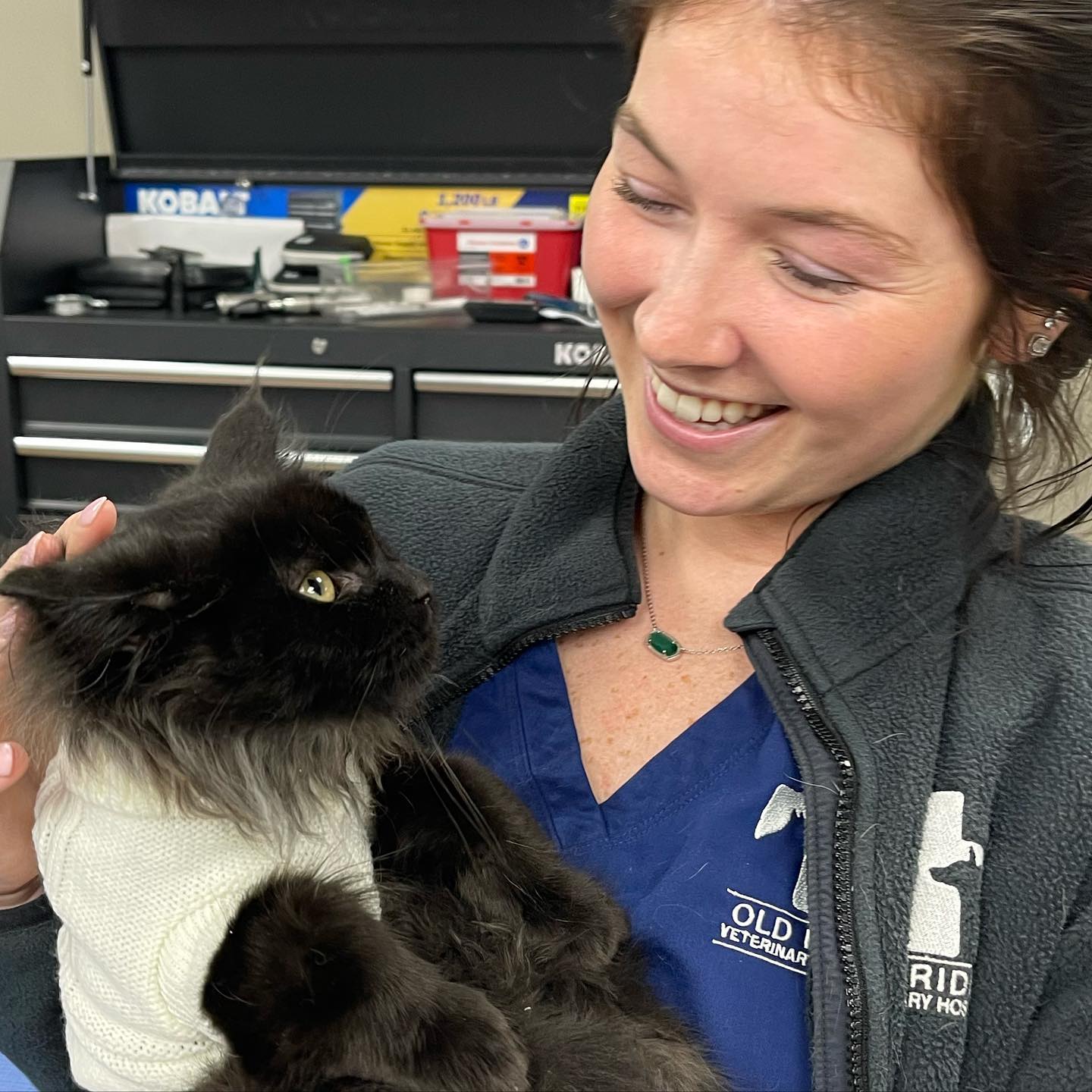 Old Ridge Veterinary Hospital Chadds Ford, PA