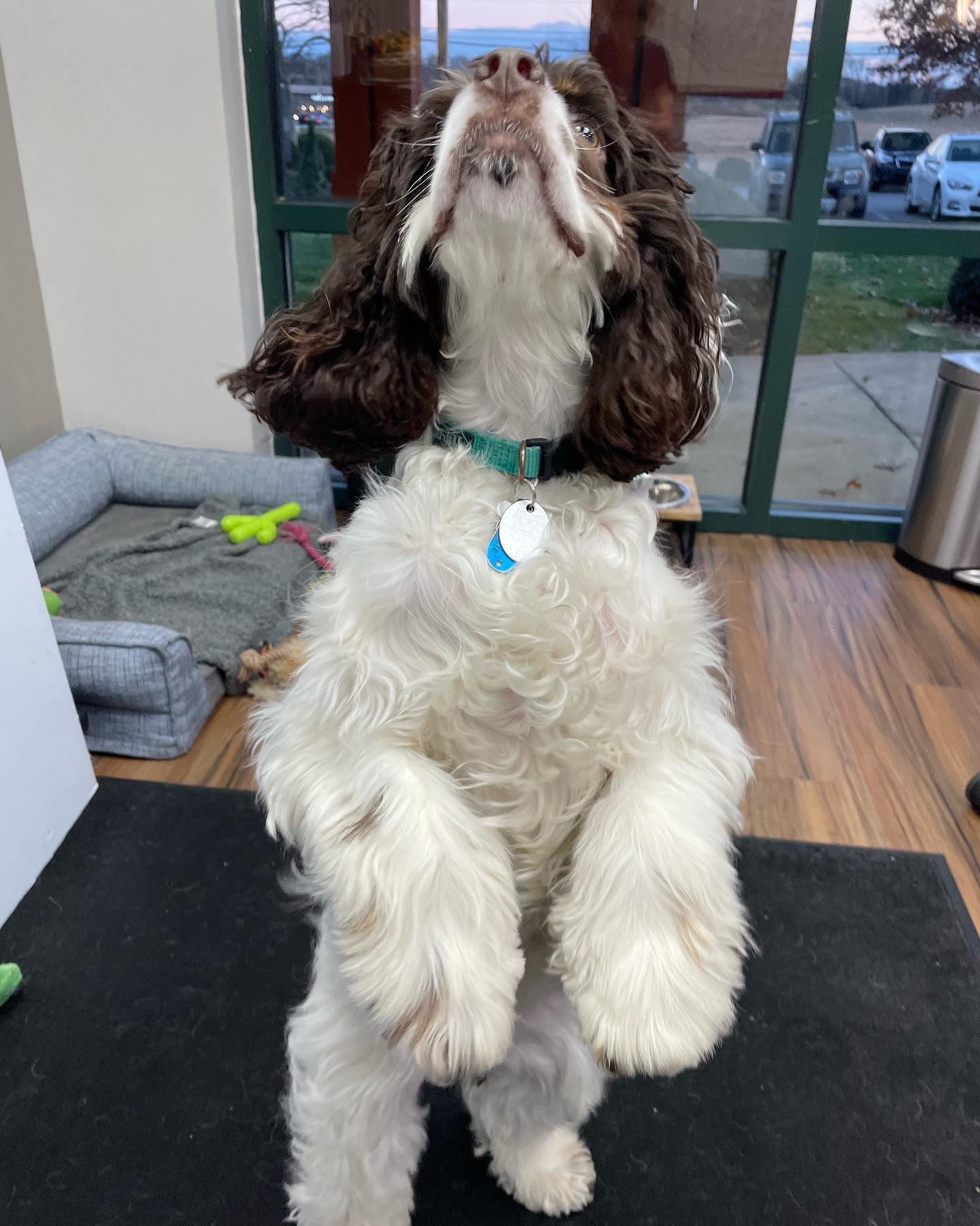 Old Ridge Veterinary Hospital Chadds Ford, PA