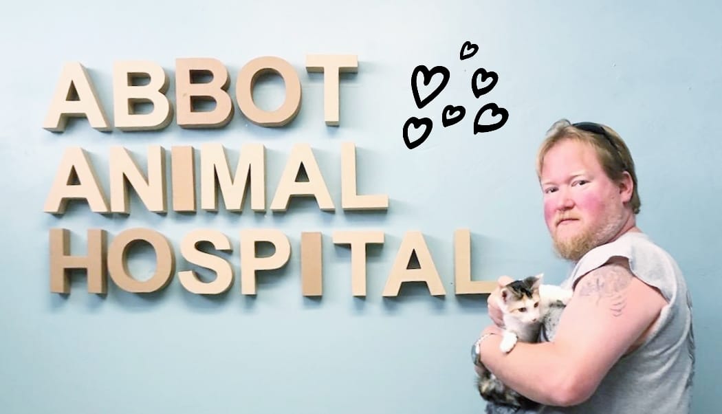 Abbott Animal Hospital – Chicago, IL Abbott Animal Hospital – Chicago, IL
