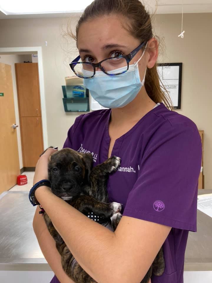 Find Pet Care Information and Veterinarians in Geneseo, New-york Find Pet Care Information and Veterinarians in Geneseo, New-york