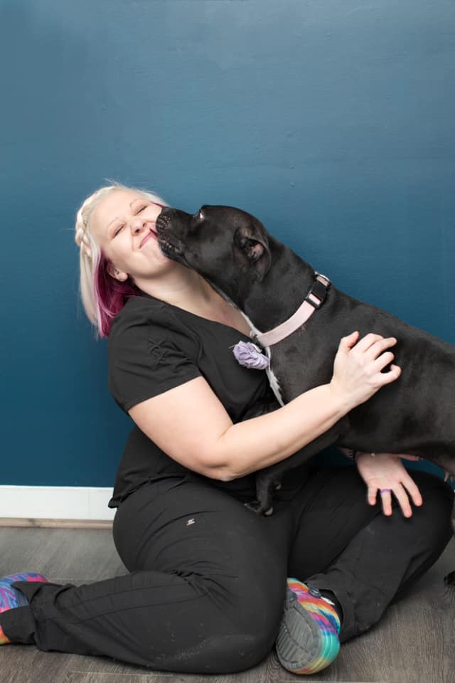 Veterinary Dentistry And Oral Surgery Of Ohio Columbus, OH