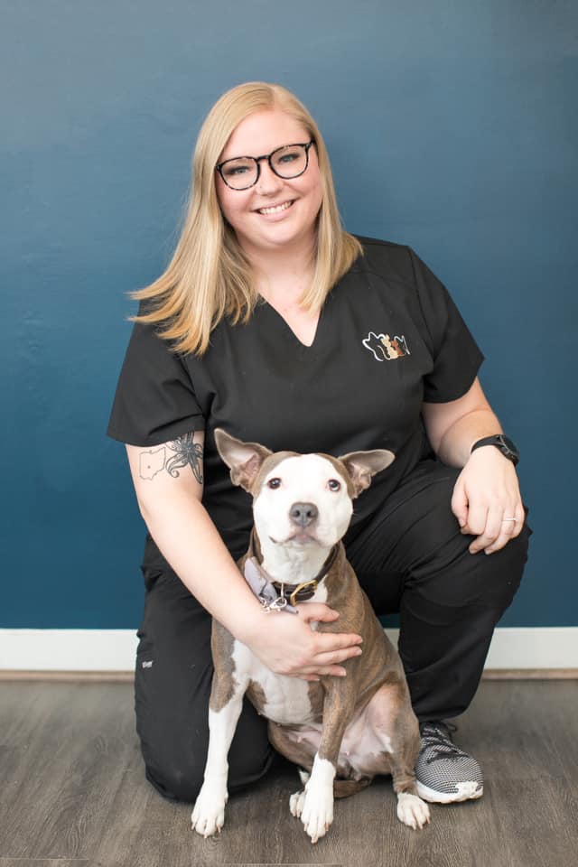 Veterinary Dentistry And Oral Surgery Of Ohio Columbus, OH