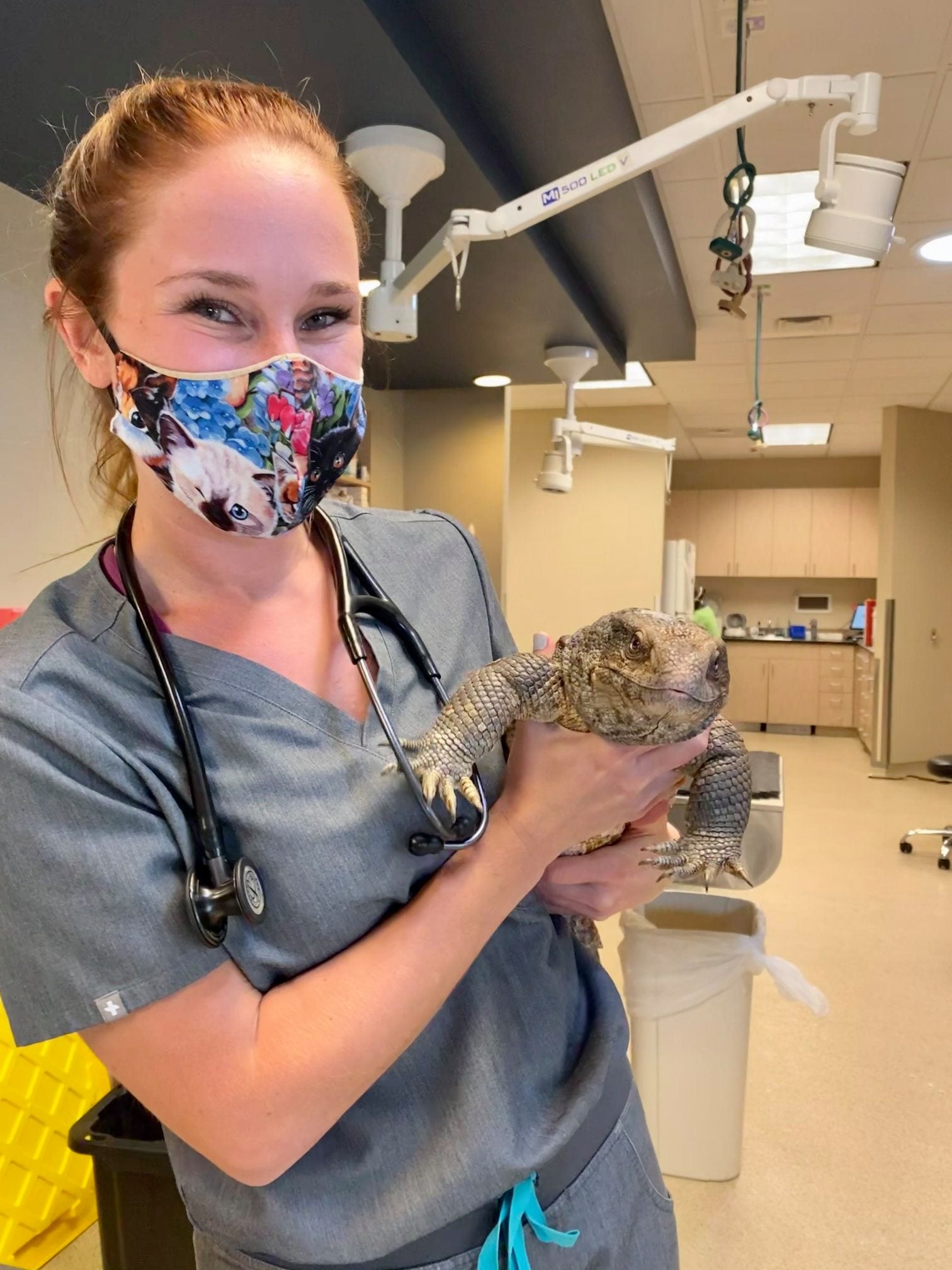 Find Pet Care Information and Veterinarians in Glendale, Colorado