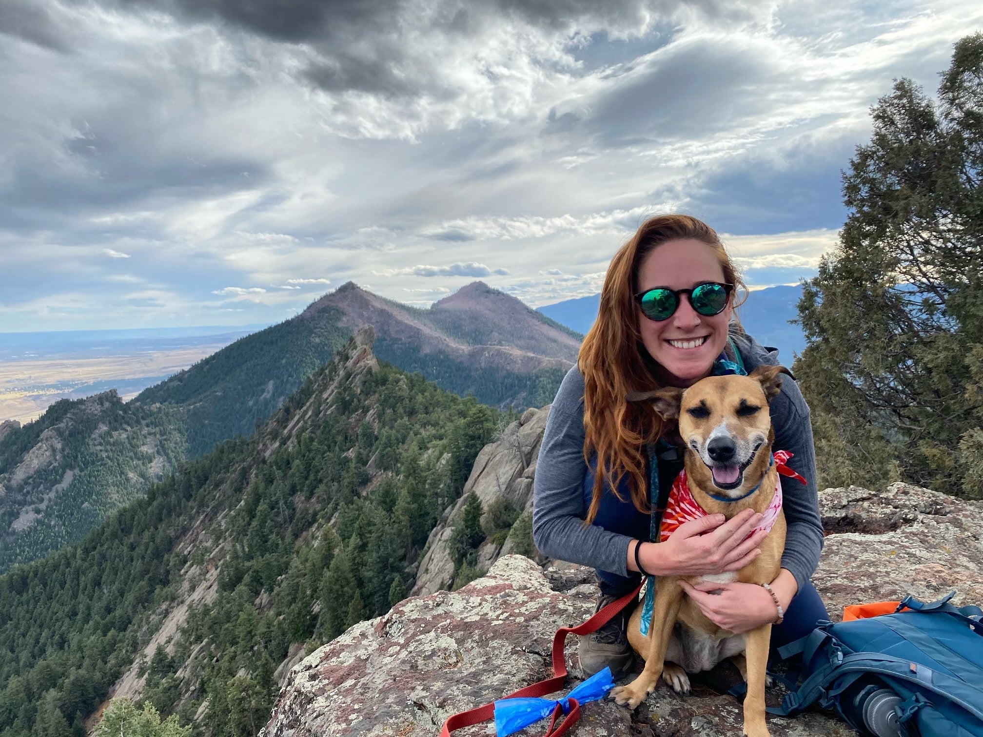 Find Pet Care Information and Veterinarians