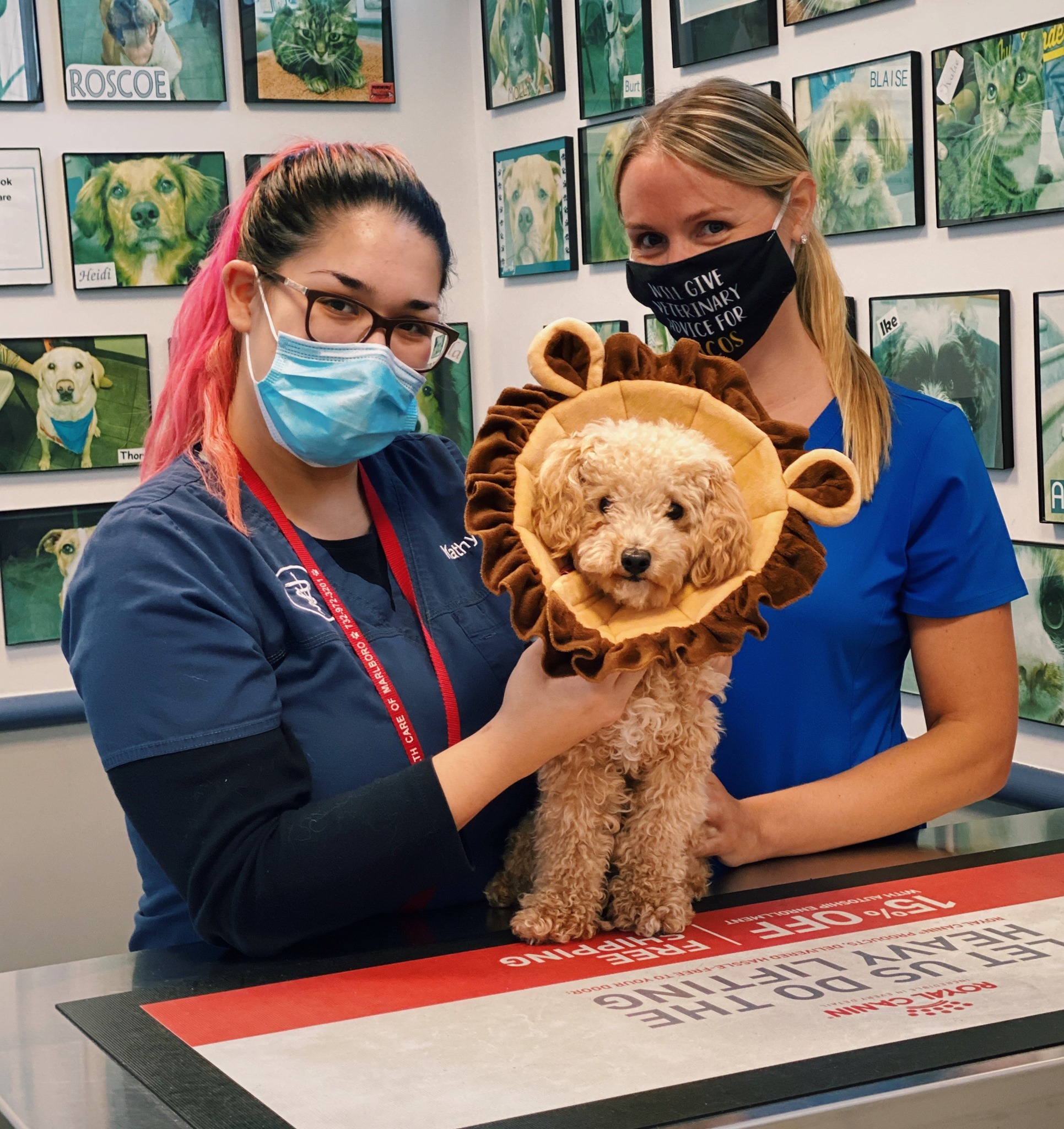 Animal Health Care of Marlboro – Englishtown, NJ Animal Health Care of Marlboro – Englishtown, NJ