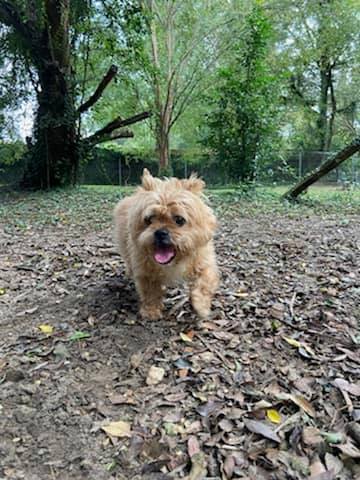 Find Pet Care Information and Veterinarians in Bridle-path-acres, Florida Find Pet Care Information and Veterinarians in Bridle-path-acres, Florida