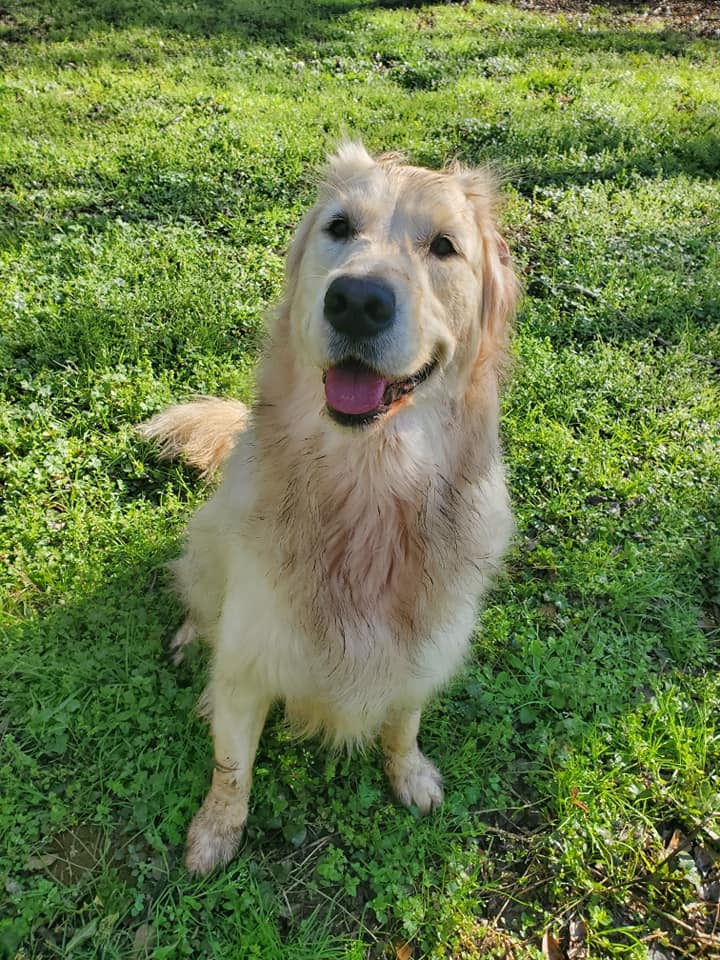 Find Pet Care Information and Veterinarians in Bridle-path-acres, Florida Find Pet Care Information and Veterinarians in Bridle-path-acres, Florida