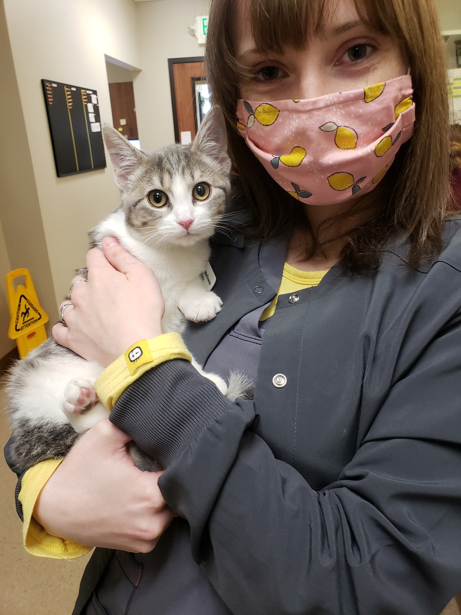 The Pet Wellness Clinic Fort Collins, CO