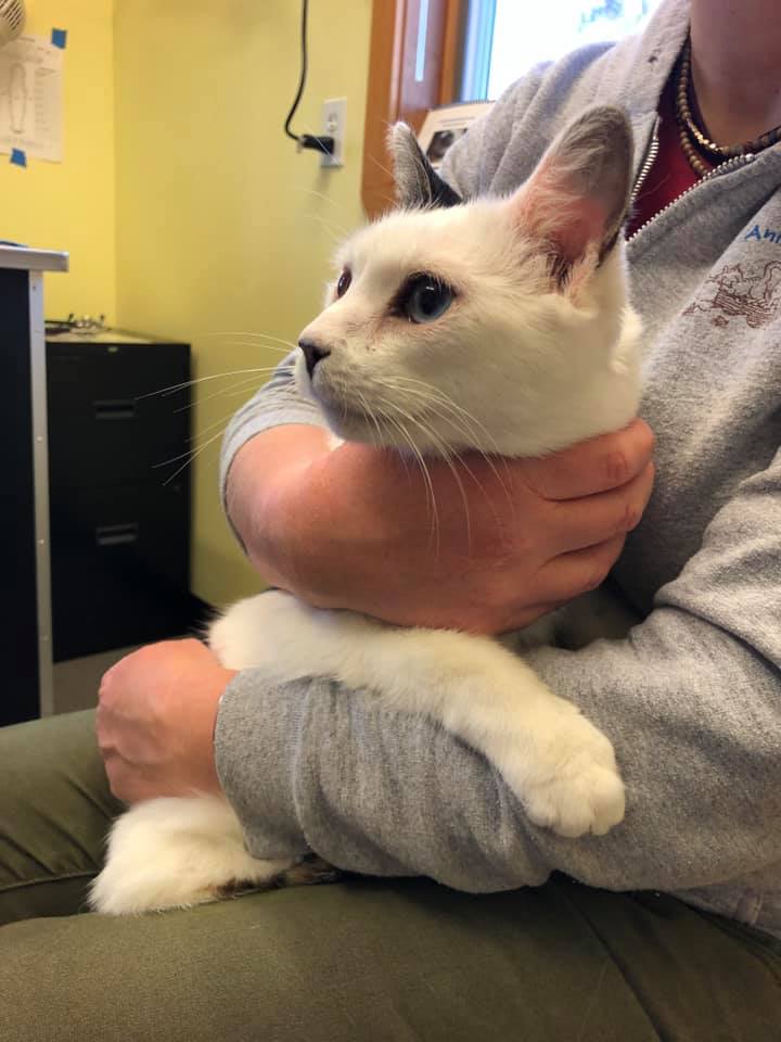 Riverbend Animal Hospital – Hadley, MA Riverbend Animal Hospital – Hadley, MA