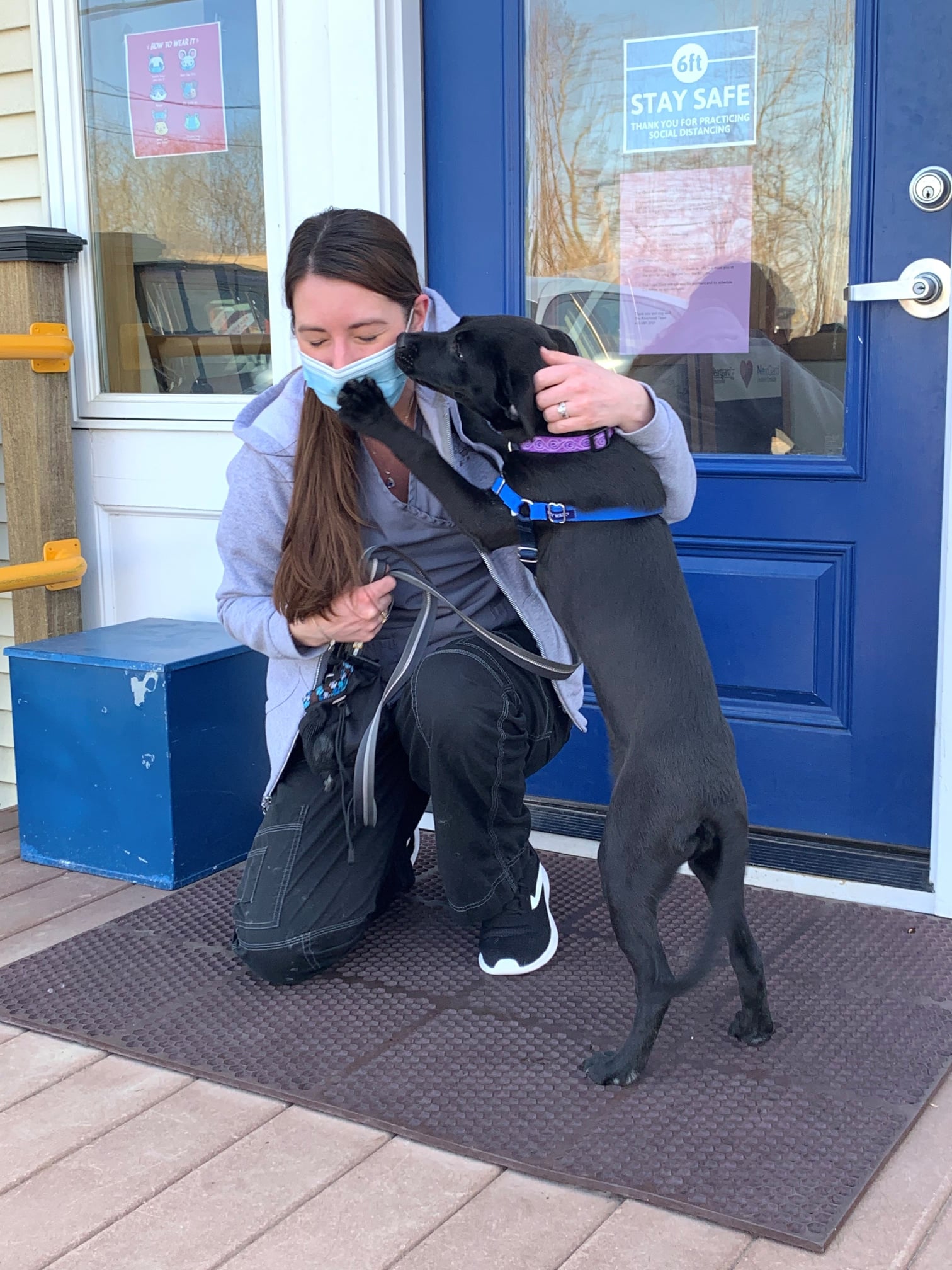 Riverbend Animal Hospital – Hadley, MA Riverbend Animal Hospital – Hadley, MA
