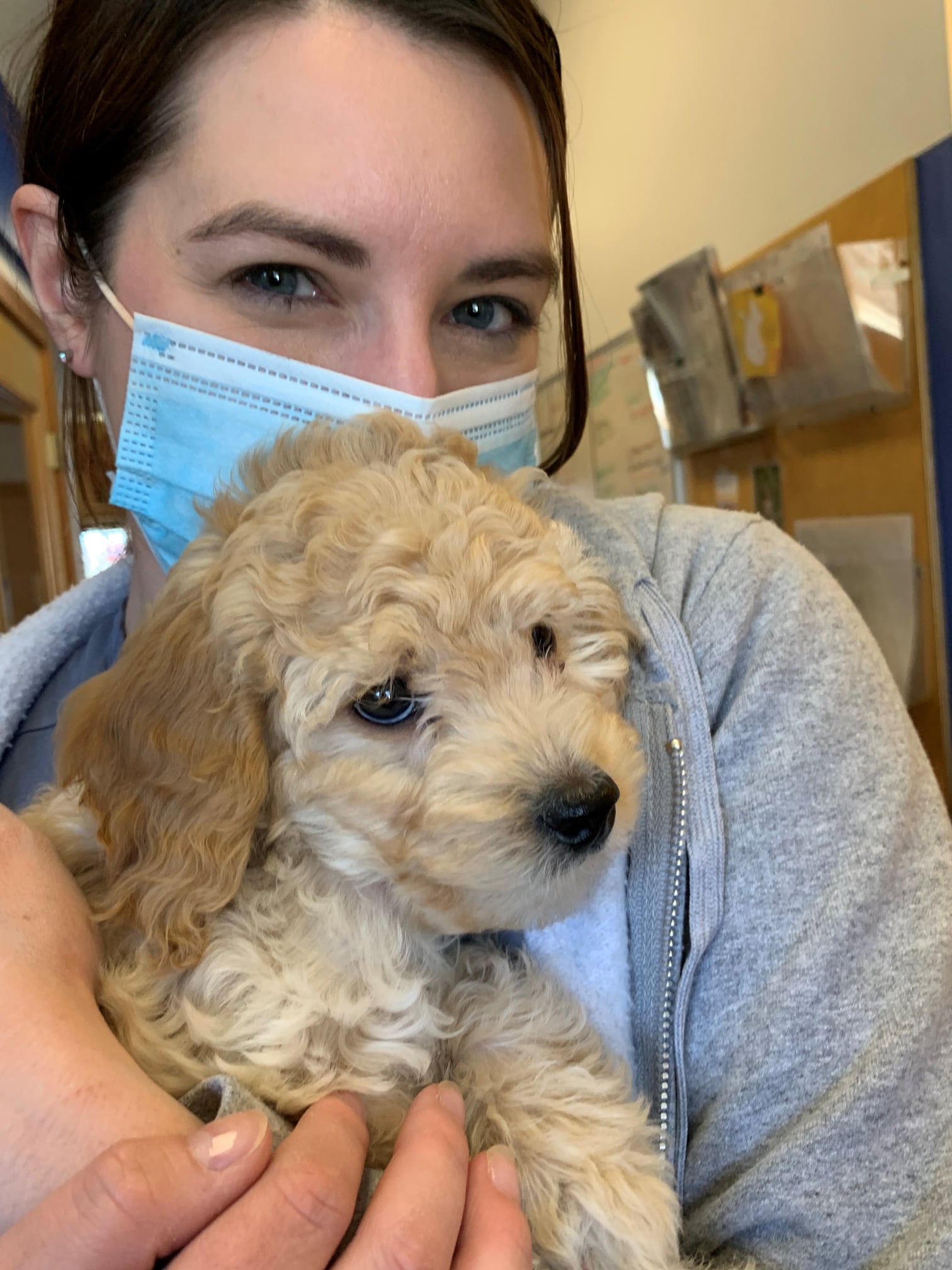 Riverbend Animal Hospital – Hadley, MA Riverbend Animal Hospital – Hadley, MA