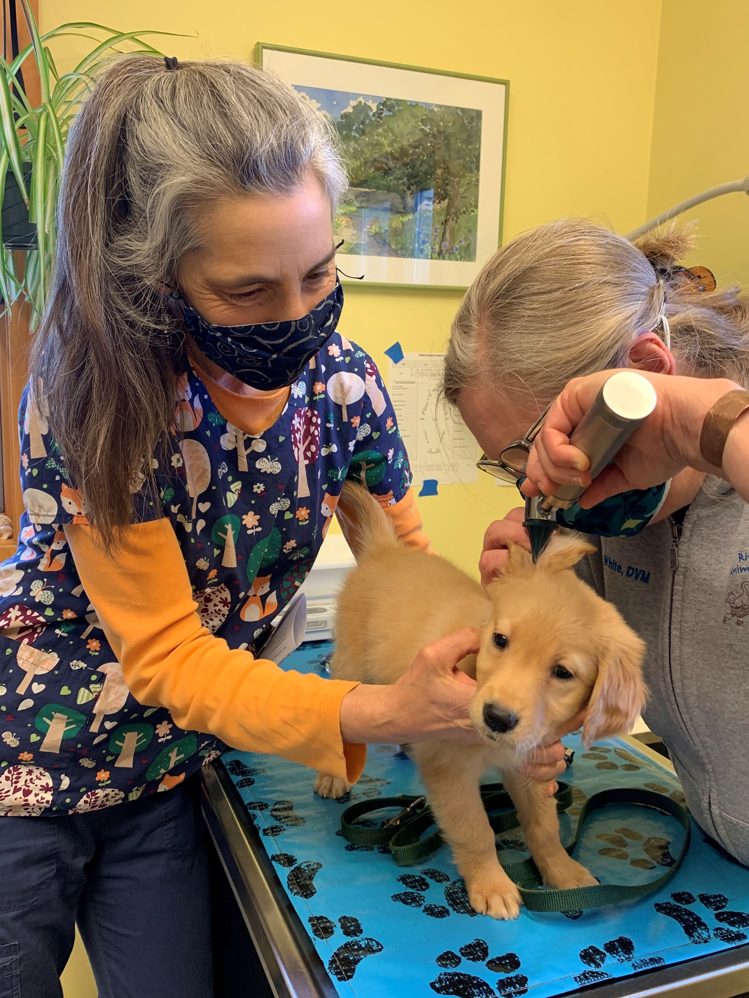 Riverbend Animal Hospital – Hadley, MA Riverbend Animal Hospital – Hadley, MA