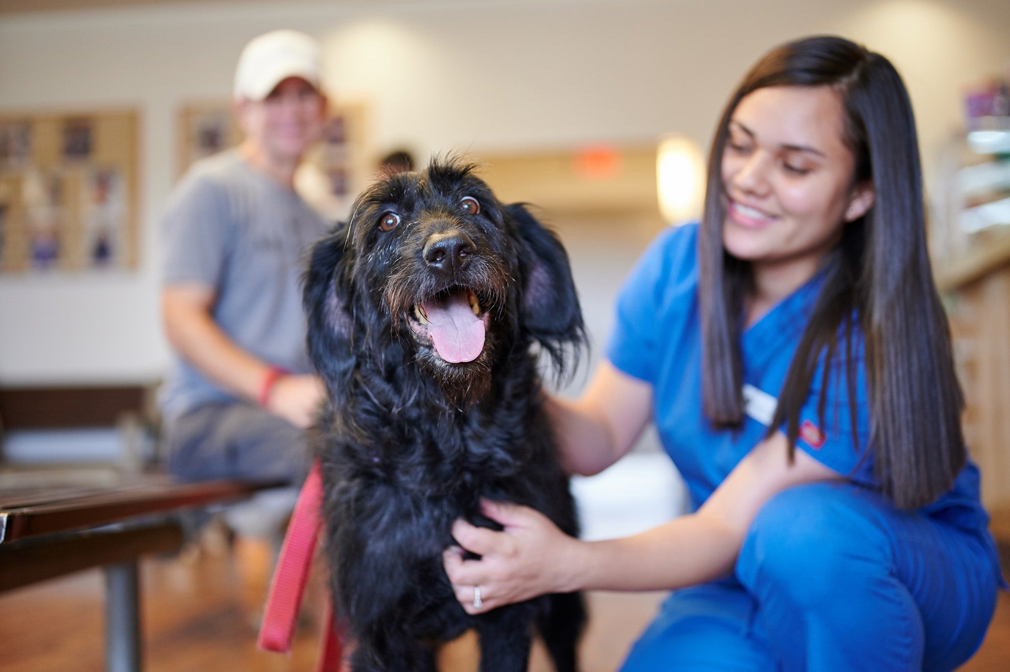 Pet Hospitals of Hawaii Makai Pet Hospital Kailua, HI