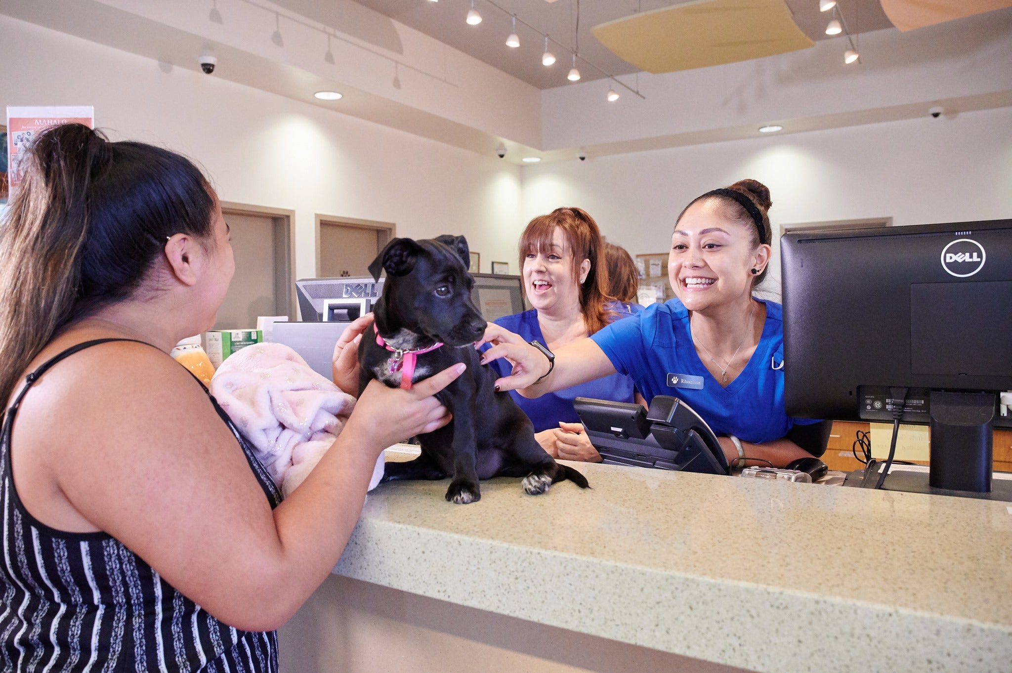 Pet Hospitals of Hawaii Makai Pet Hospital Kailua, HI