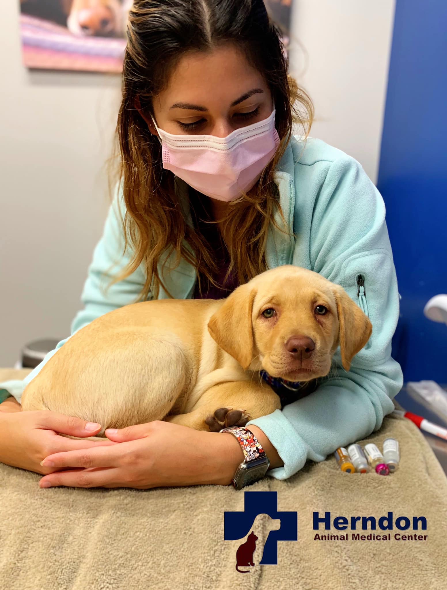 Herndon Animal Medical Center – Herndon, VA Herndon Animal Medical Center – Herndon, VA