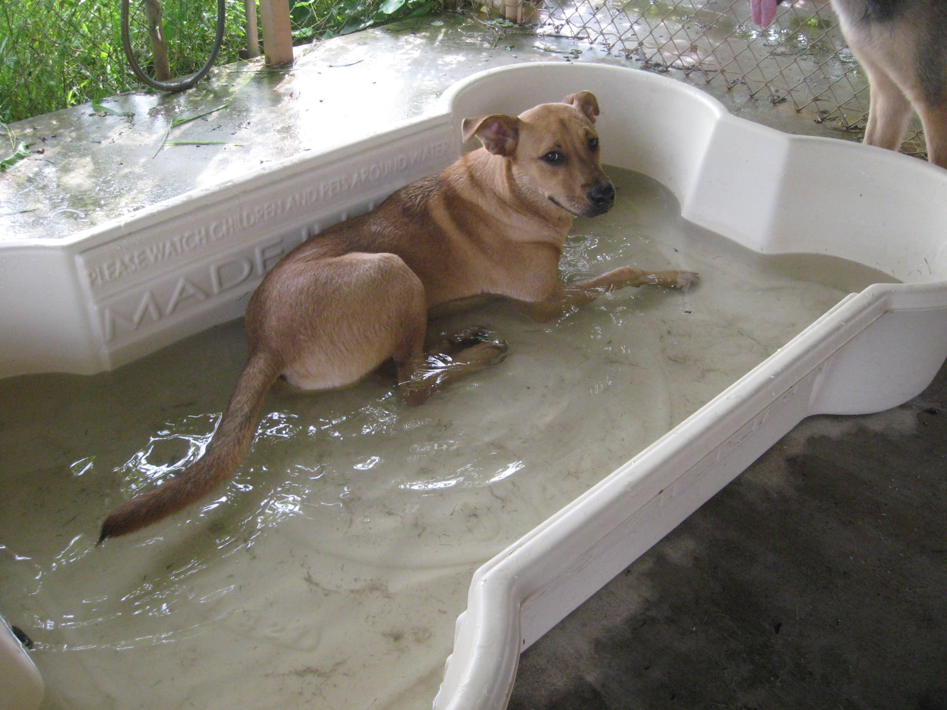Find Pet Care Information and Veterinarians in Ashland, Alabama Find Pet Care Information and Veterinarians in Ashland, Alabama