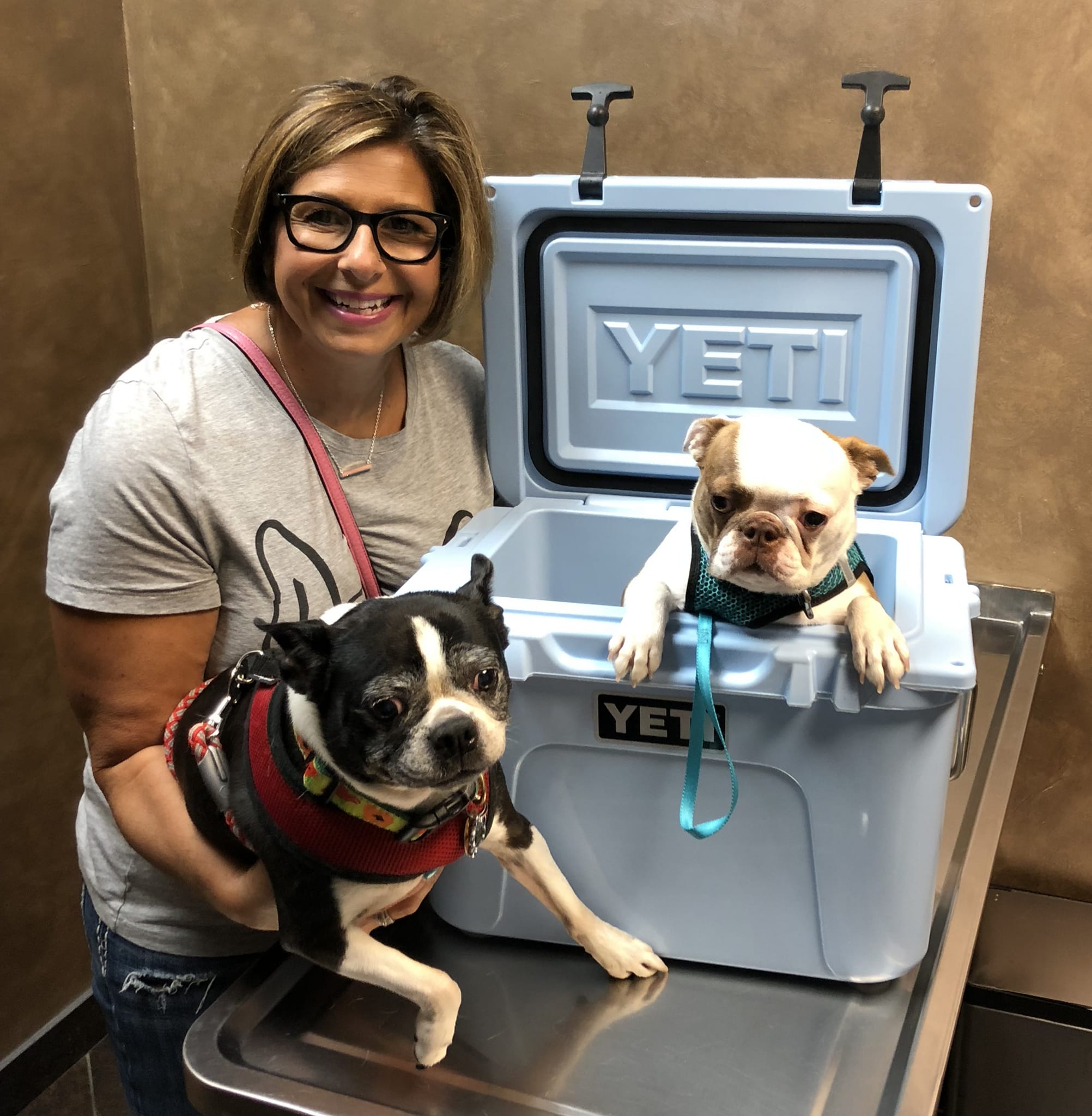 Animal Medical Center – Orland Park, IL Animal Medical Center – Orland Park, IL