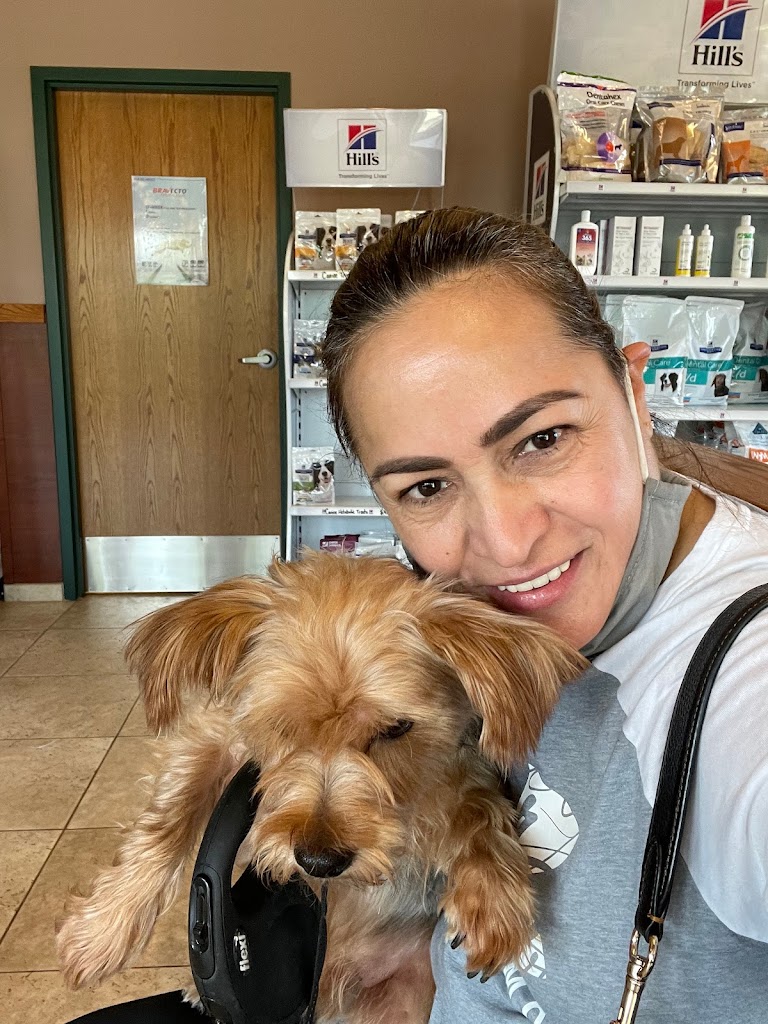 Find Pet Care Information and Veterinarians in Five-island-park, Illinois Find Pet Care Information and Veterinarians in Five-island-park, Illinois