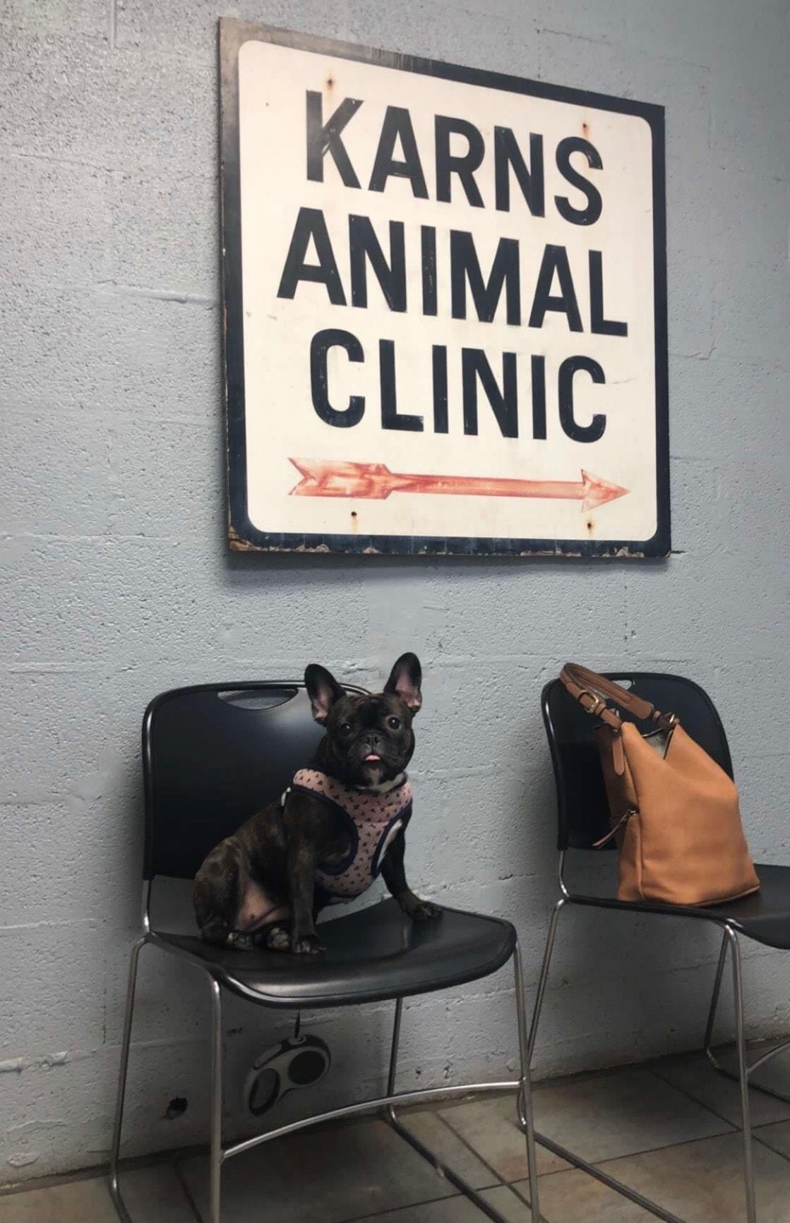 Karns Animal Clinic Knoxville, TN