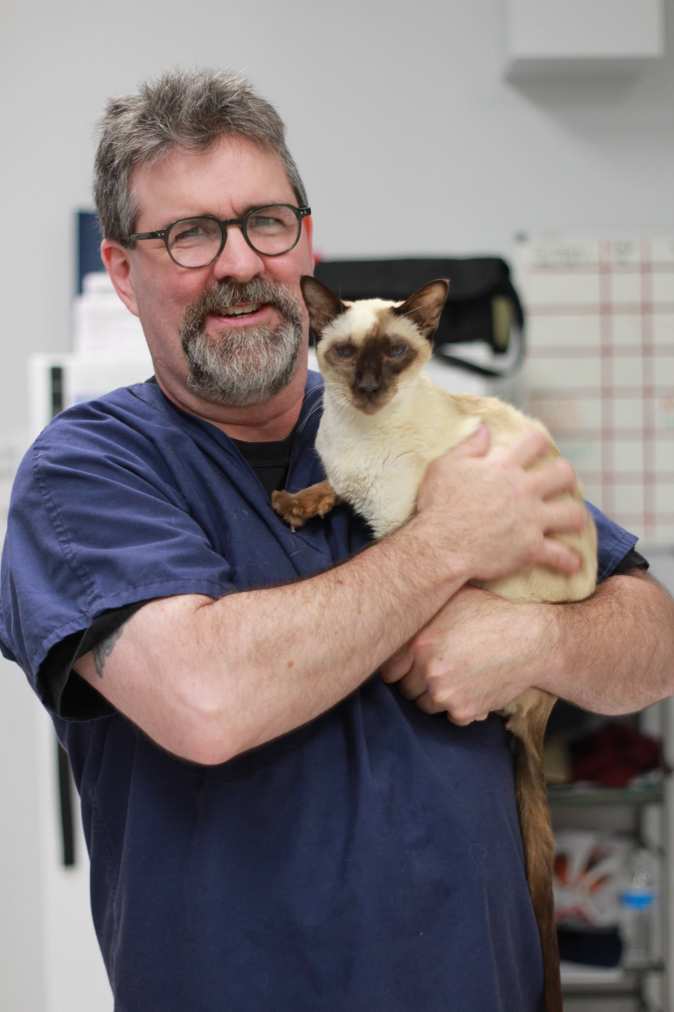 The Family Pet Hospital Ashland, MA