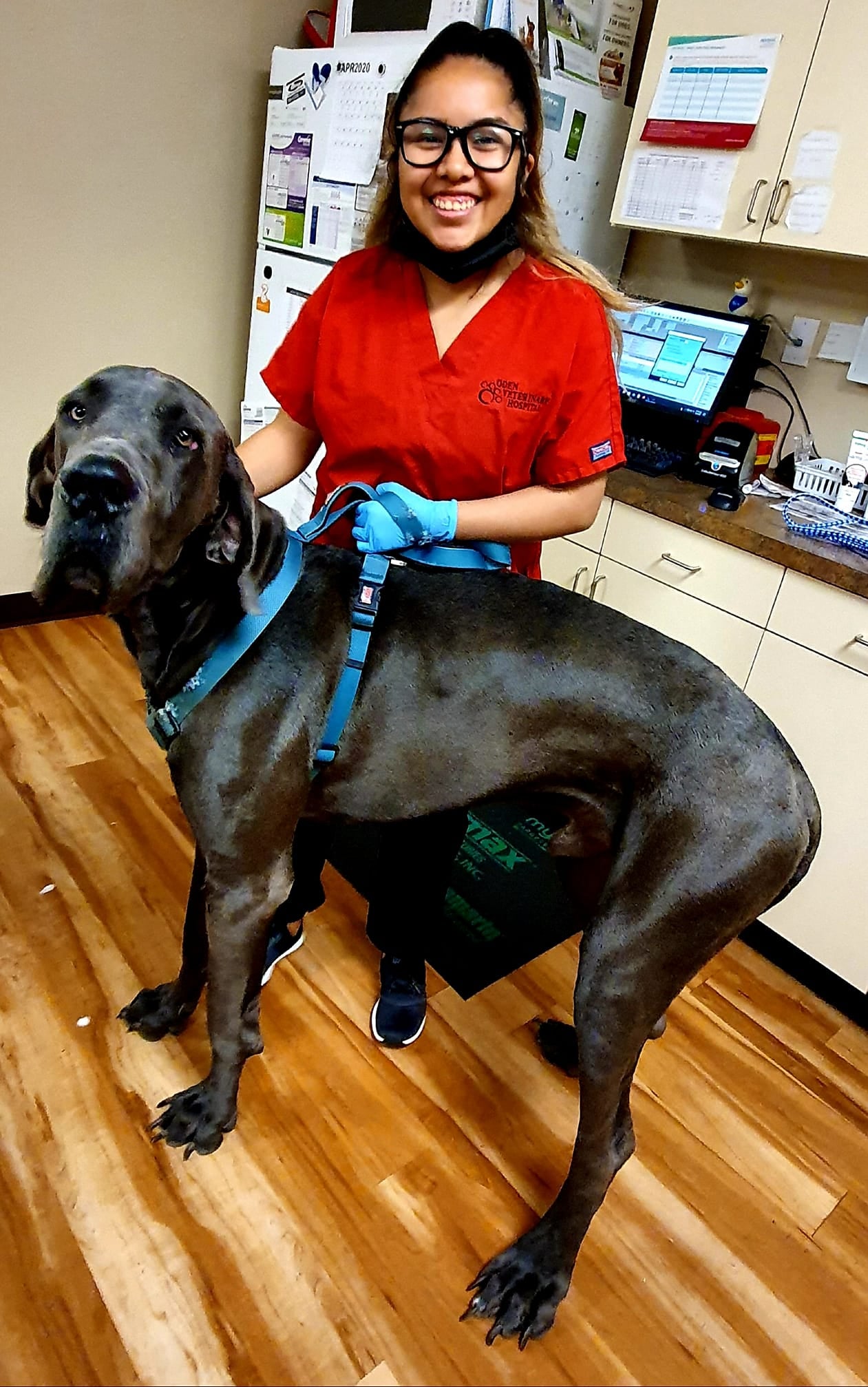 Oden Veterinarian Hospital Lubbock, TX