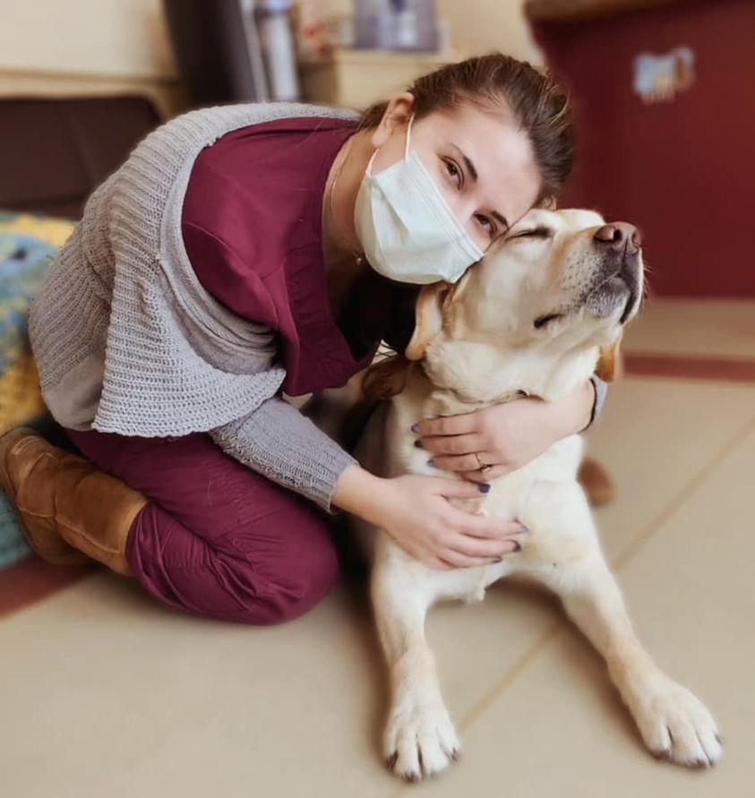 Best Pets Veterinary Hospital Tewksbury Ma